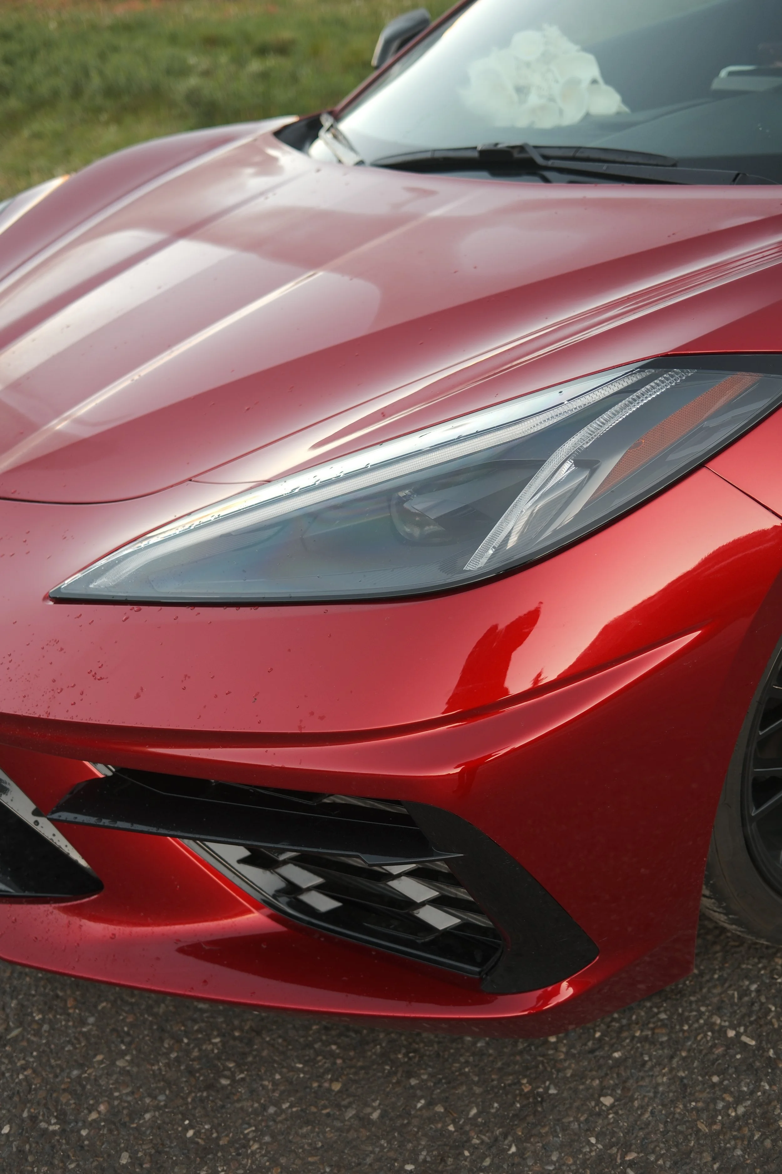Close-up of the front of a shiny red sports car with sleek headlights, parked on pavement with grass in the background.