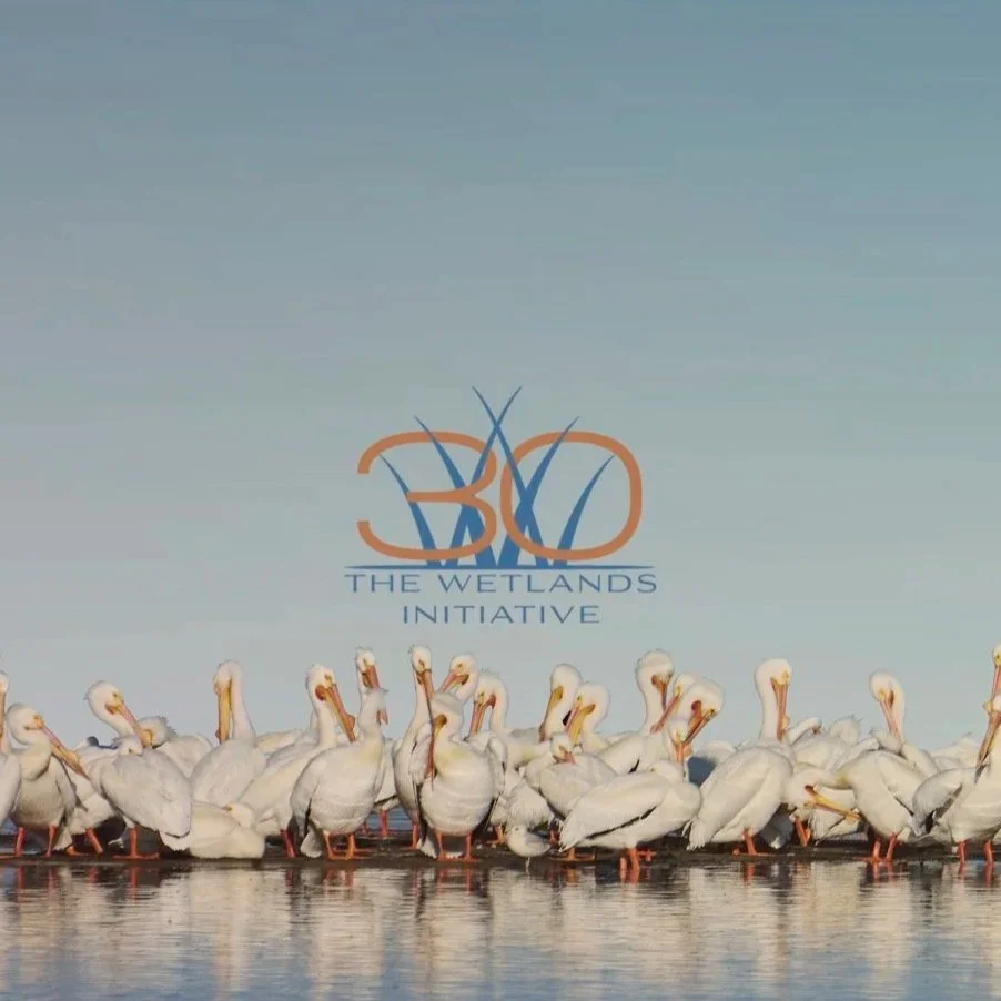 TWI 30th Anniversary Gala