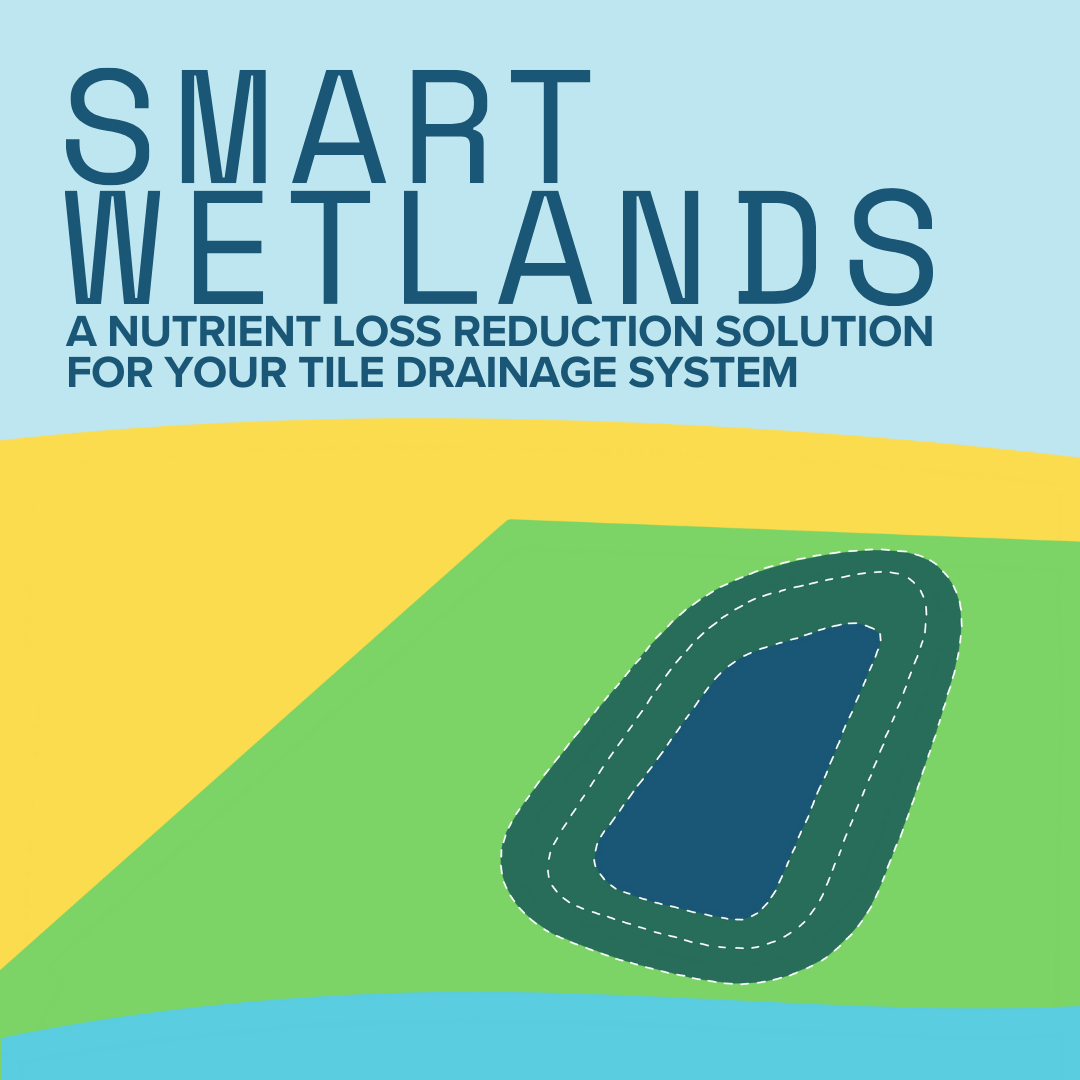 Smart Wetlands Infographic