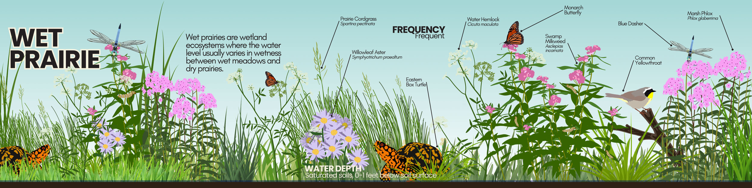 Wet Prairie.png