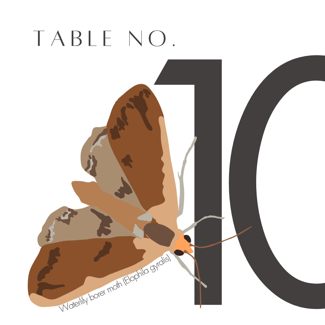10.png
