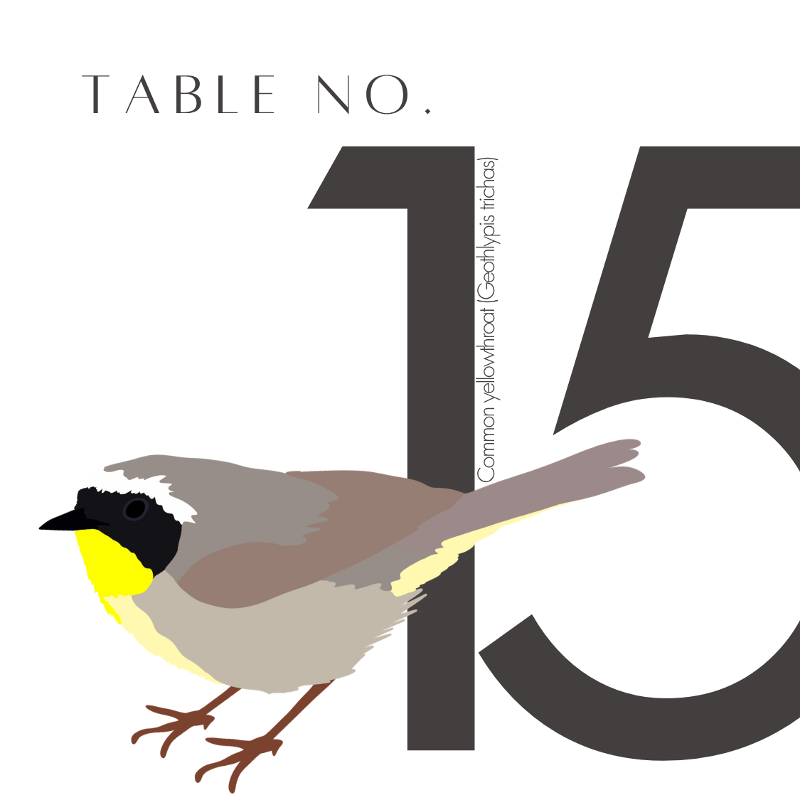 15.png
