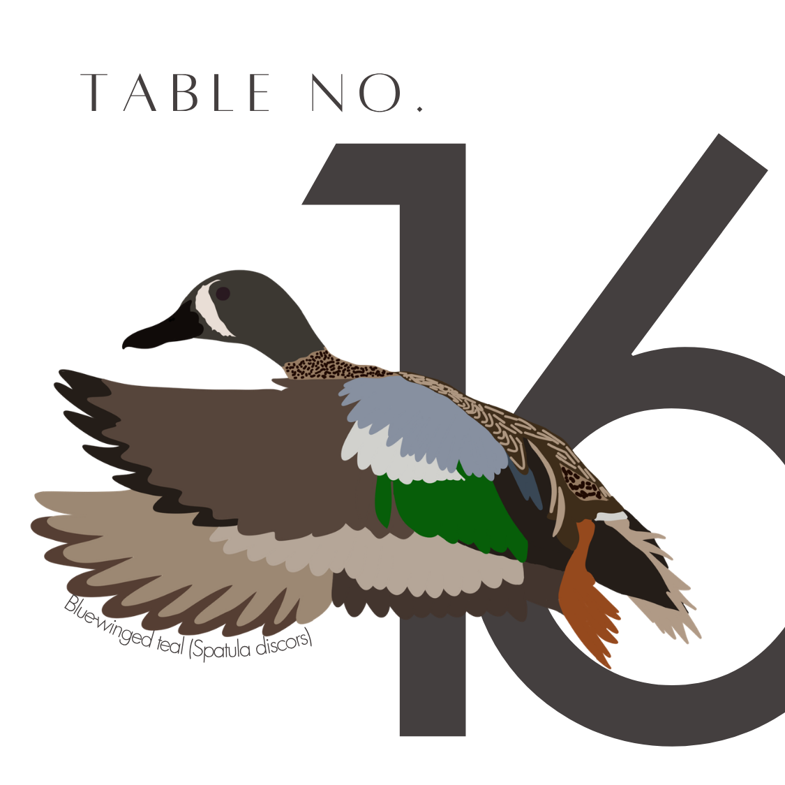 16.png
