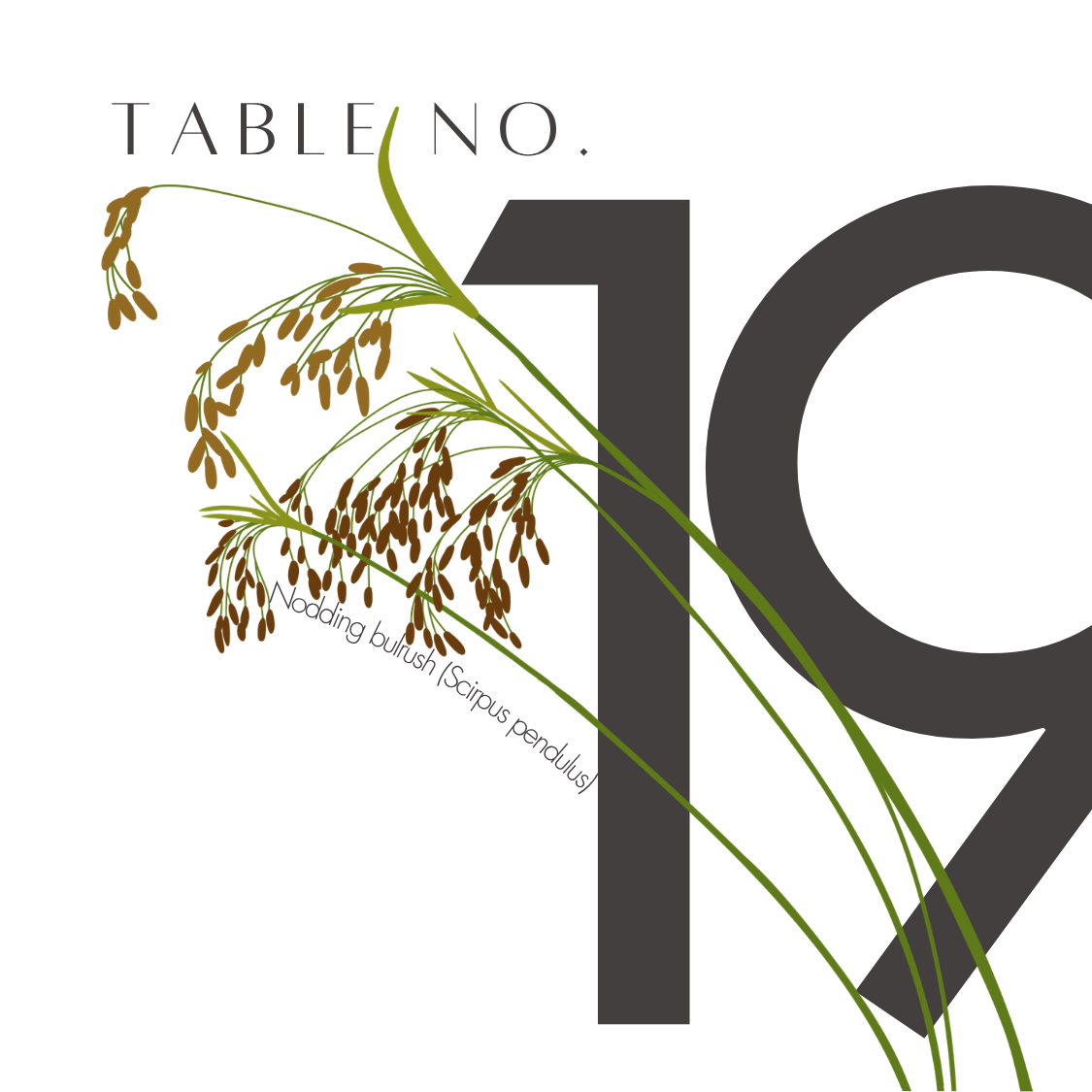 19.png