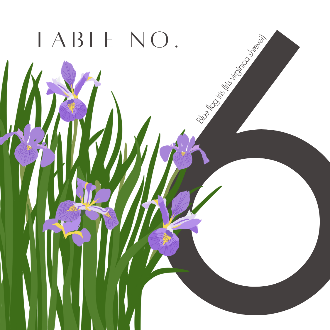 6.png