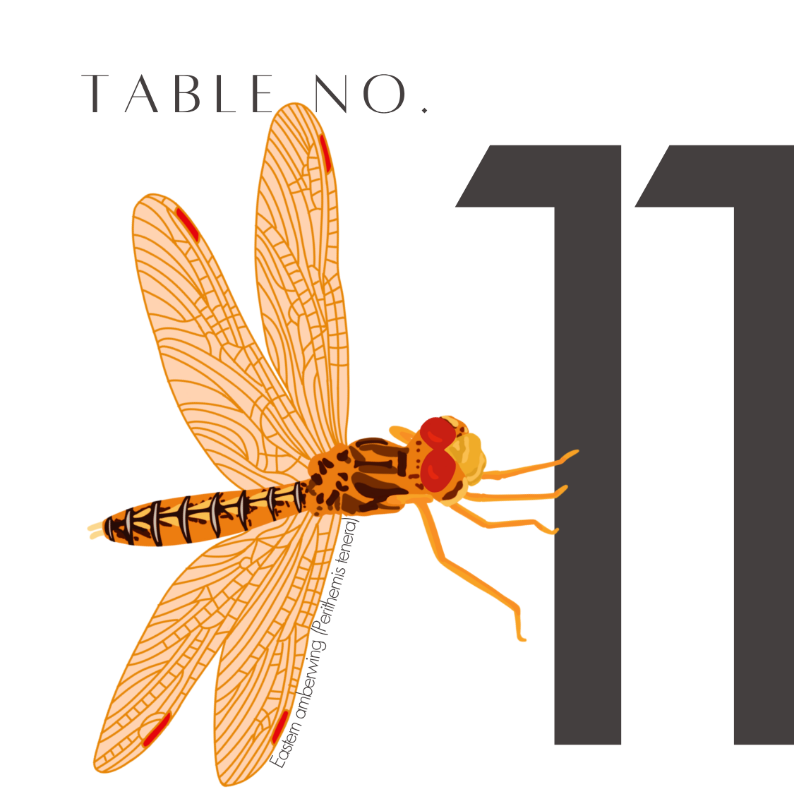 11.png
