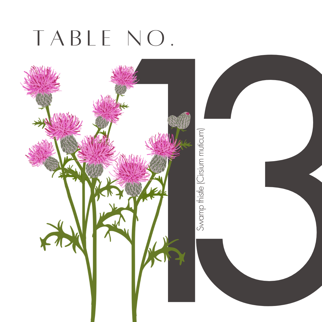 13.png