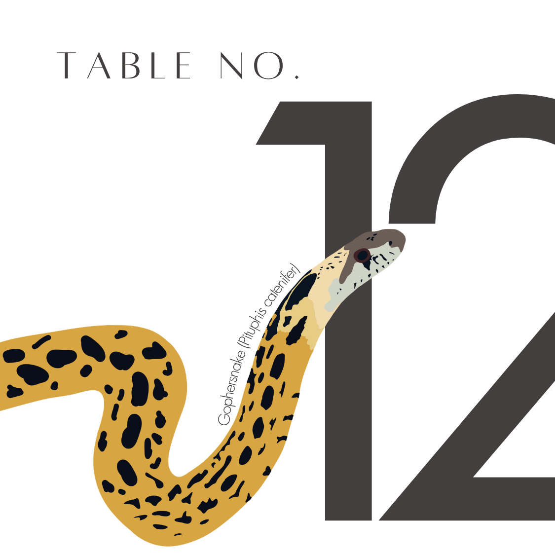 12.png