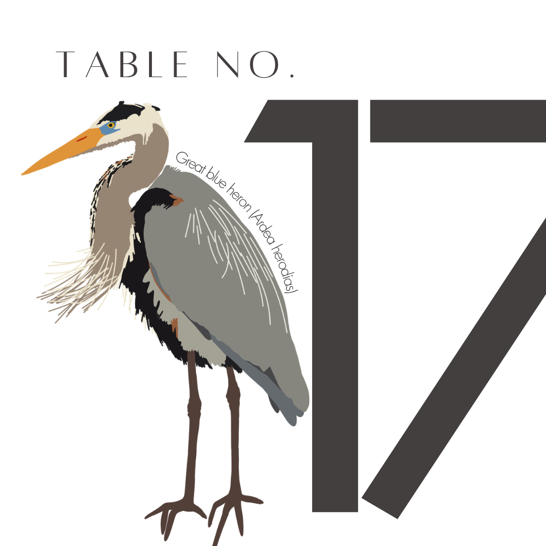 17.png