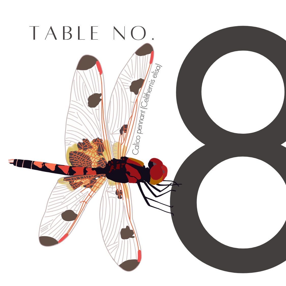 8.png