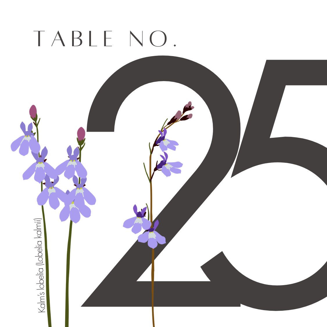 25.png