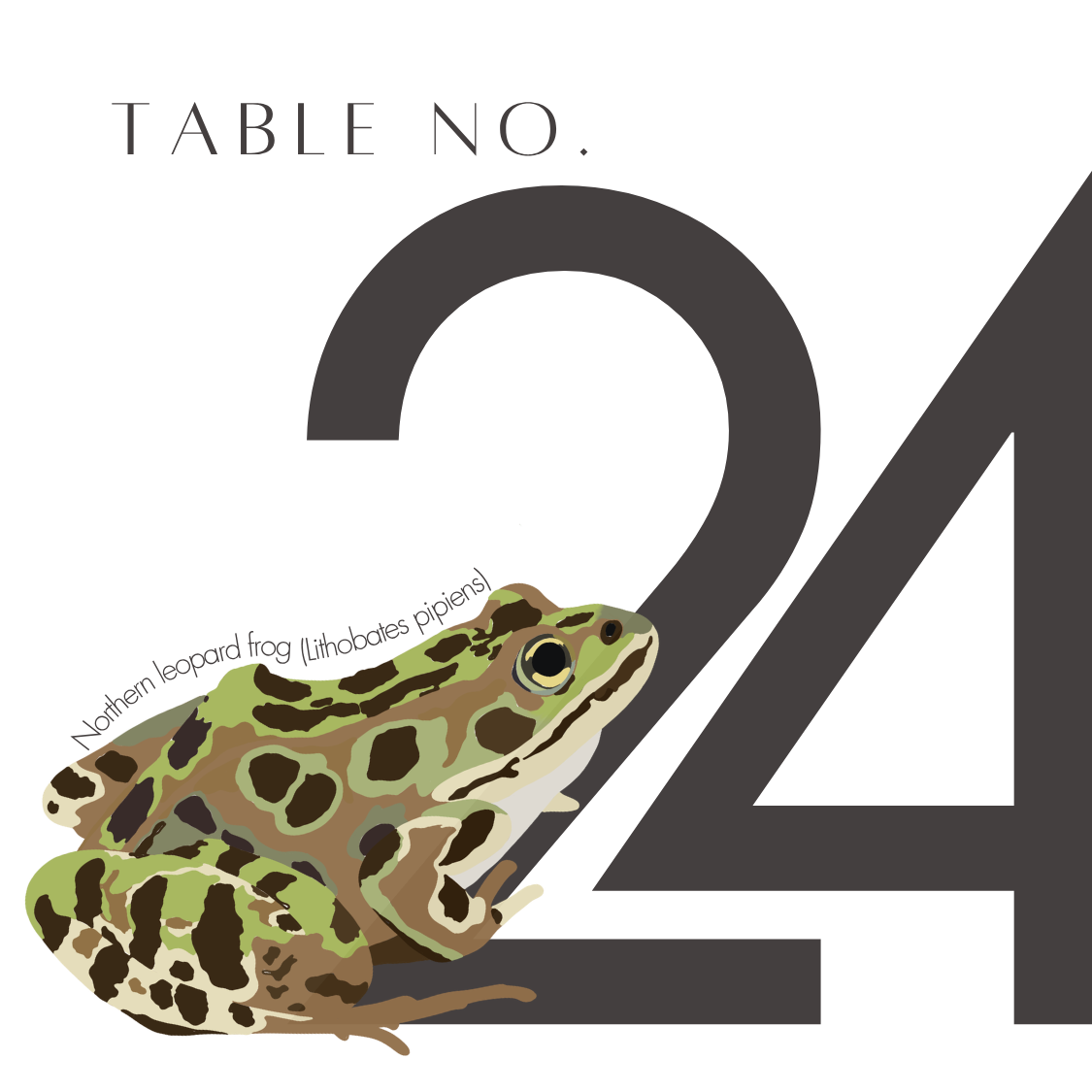 24.png