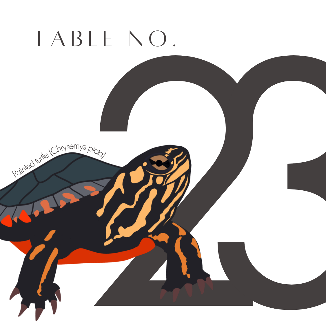 23.png