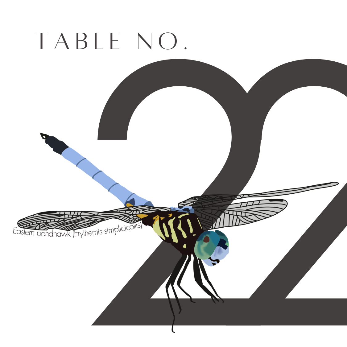 22.png