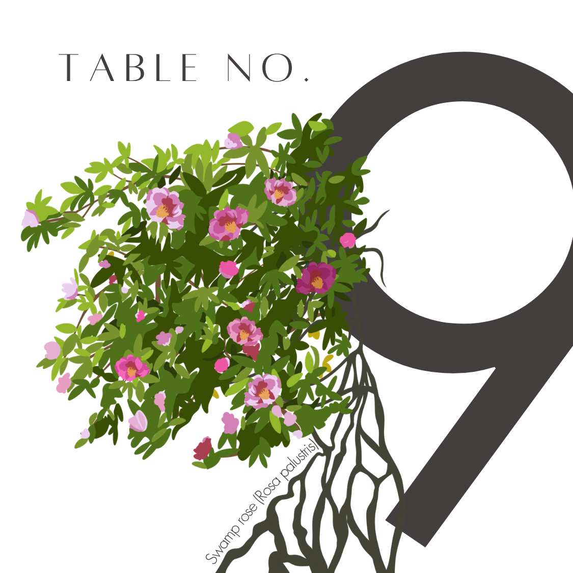 9.png