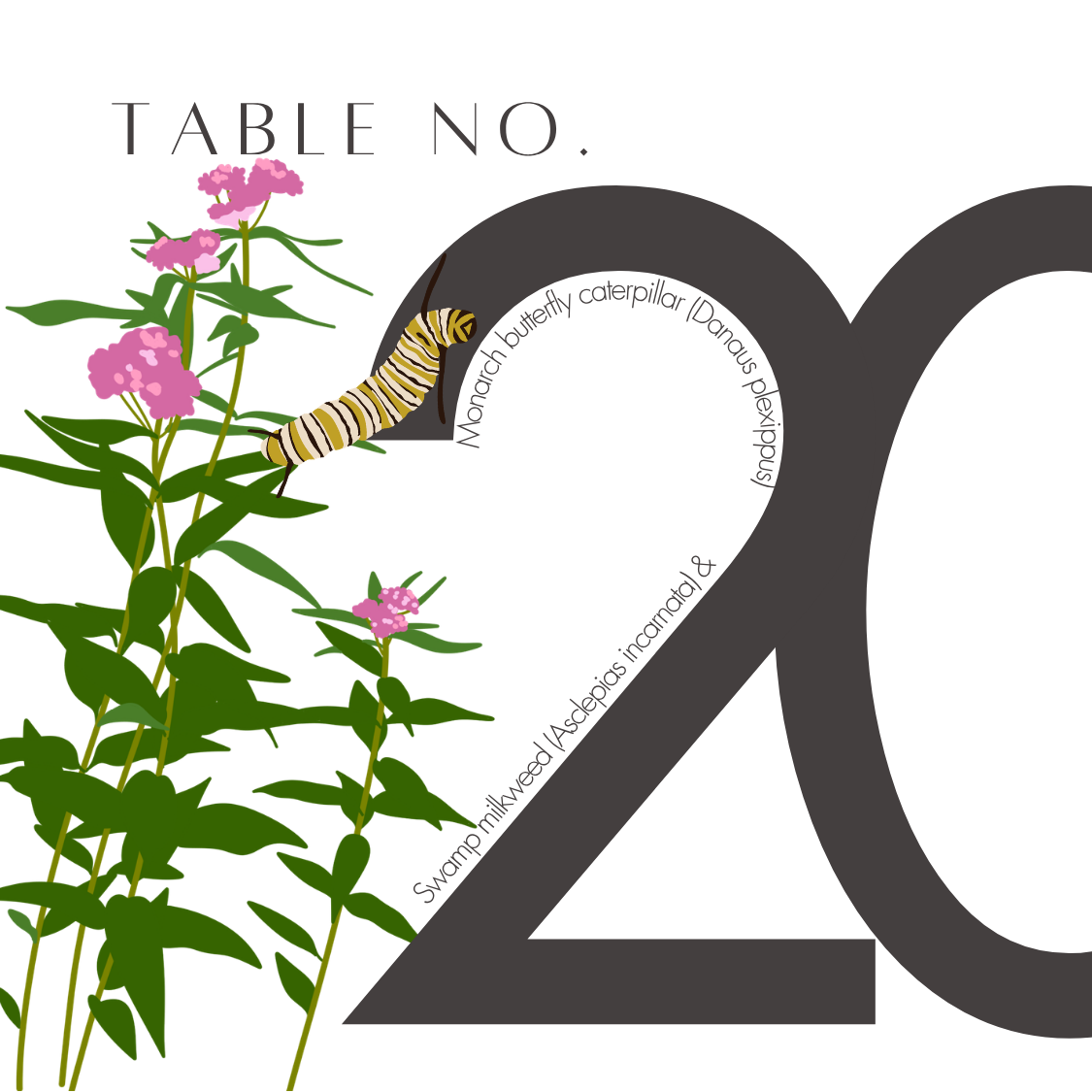 20.png