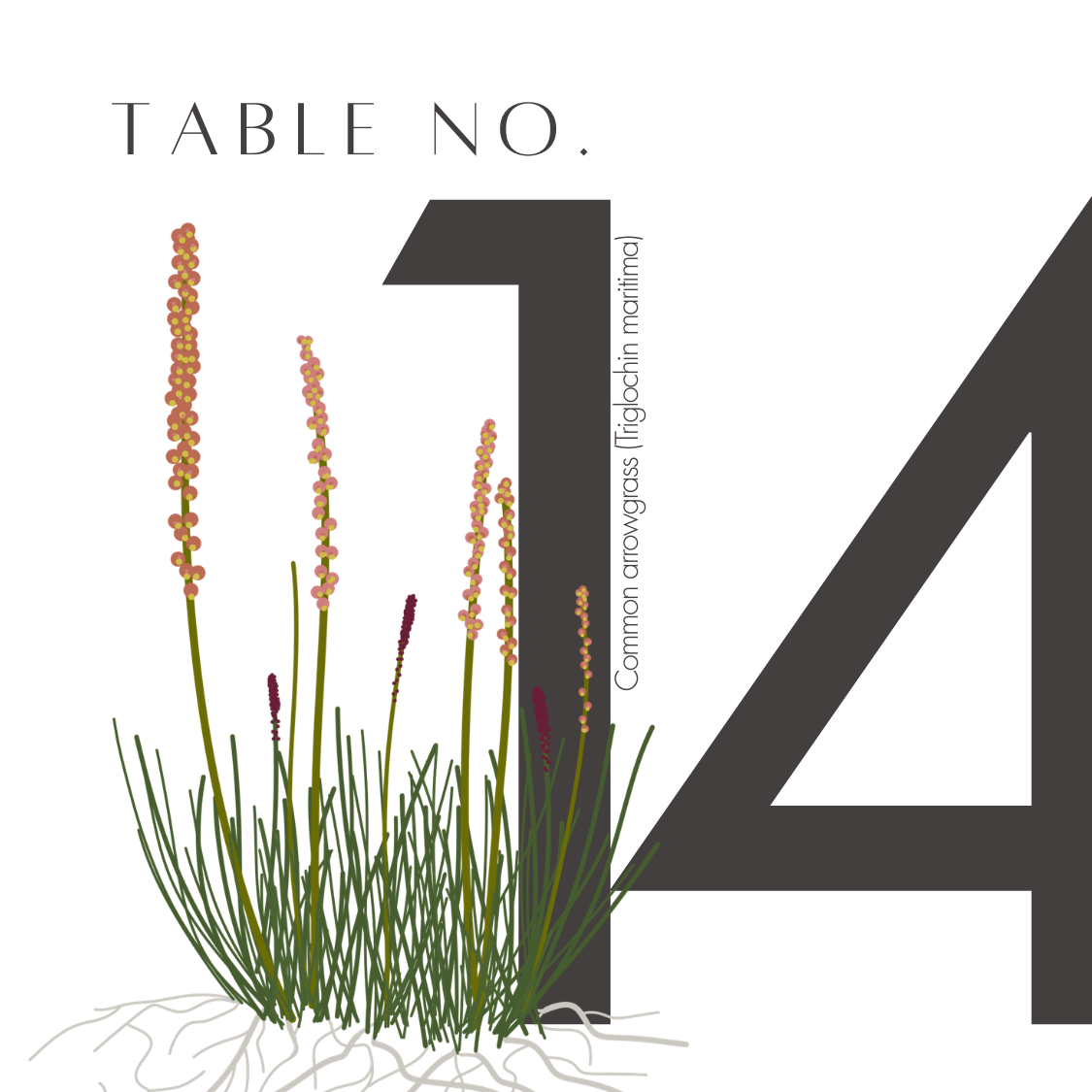 14.png
