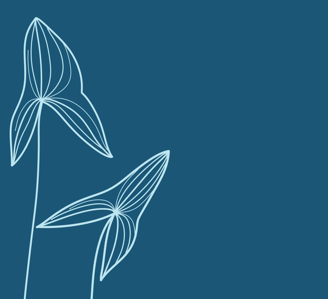 Minimalist line drawing of two leaves on a dark teal background.