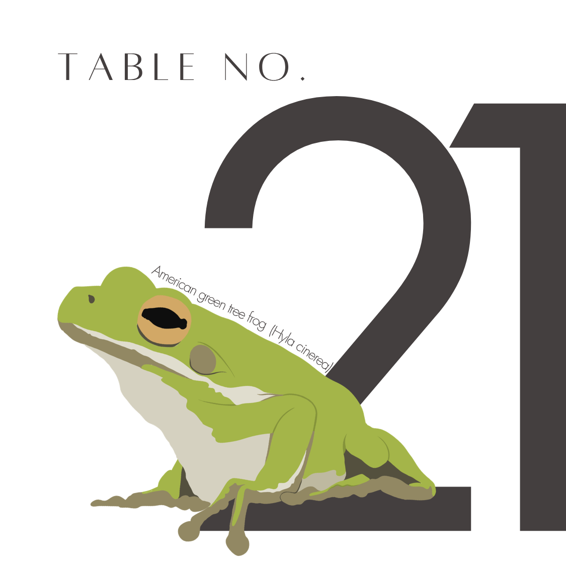 21.png