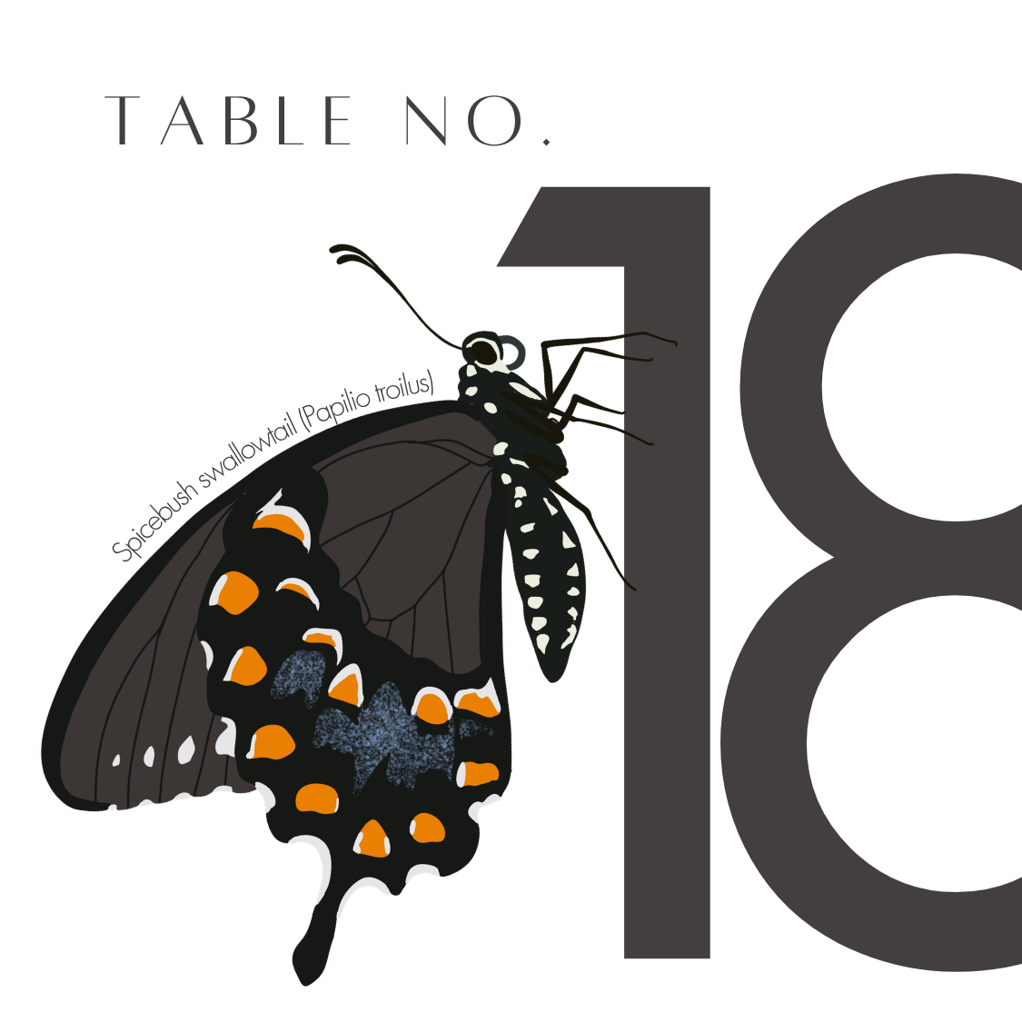 18.png