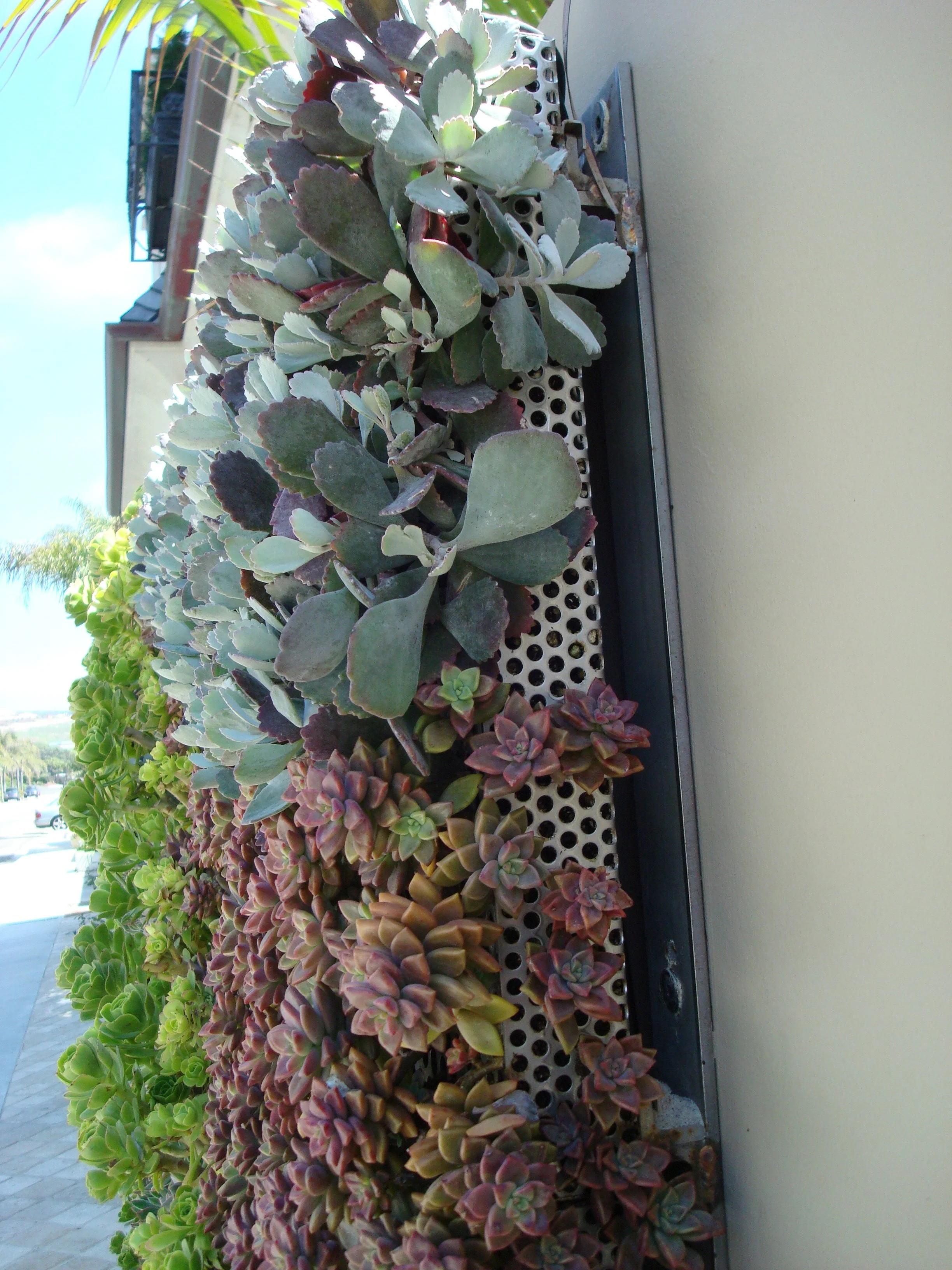 DSC01024.jpg
