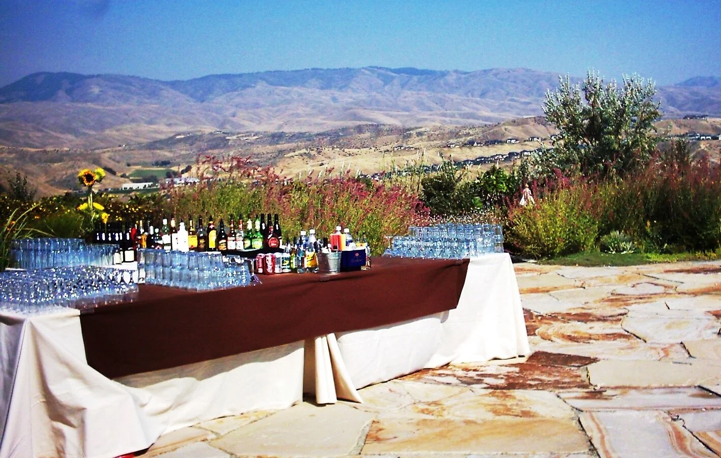 Outdoor beverage table with drinks and glasses, set against a mountainous landscape with bushes and trees.