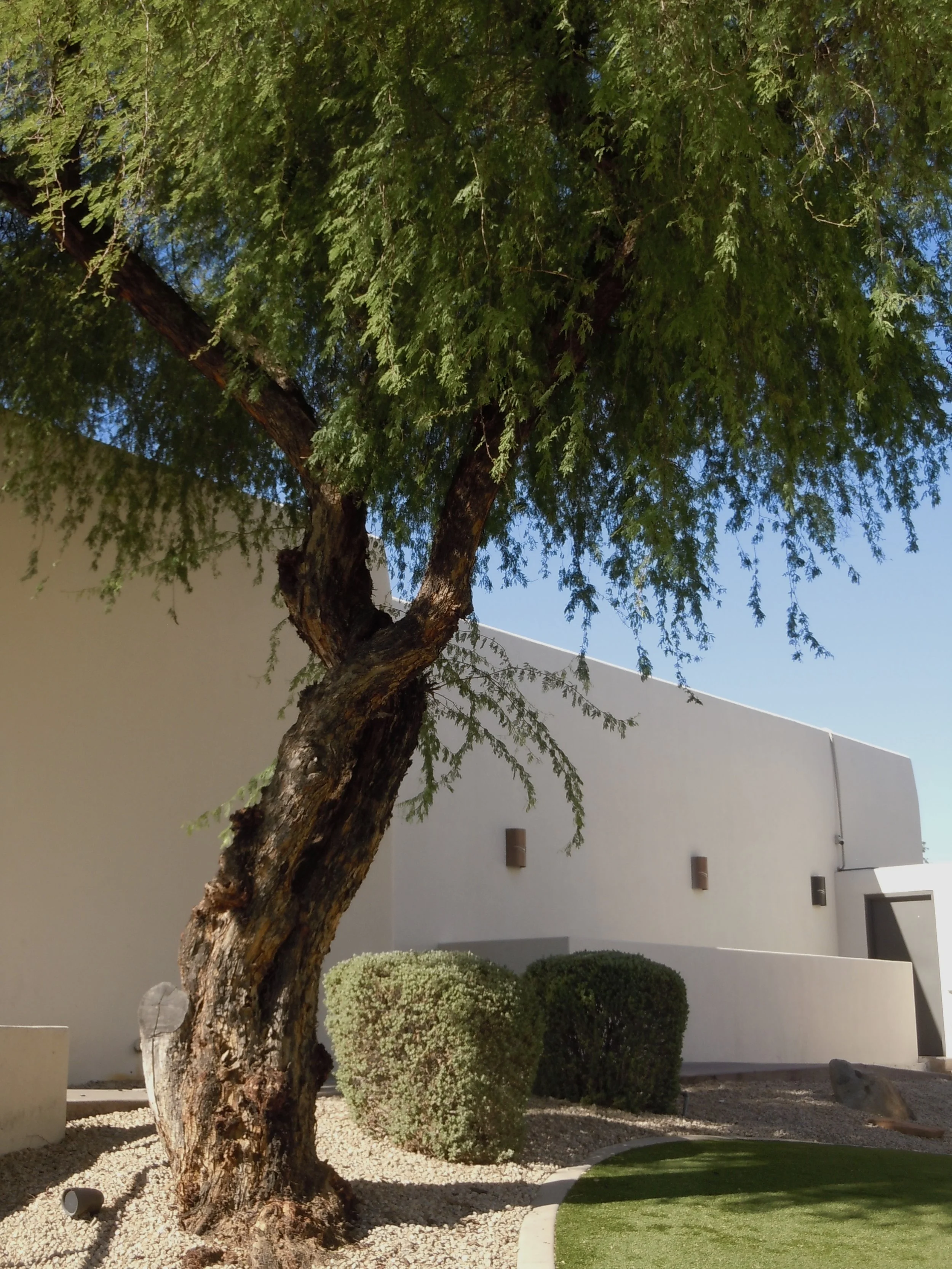 DSCN4791.jpg