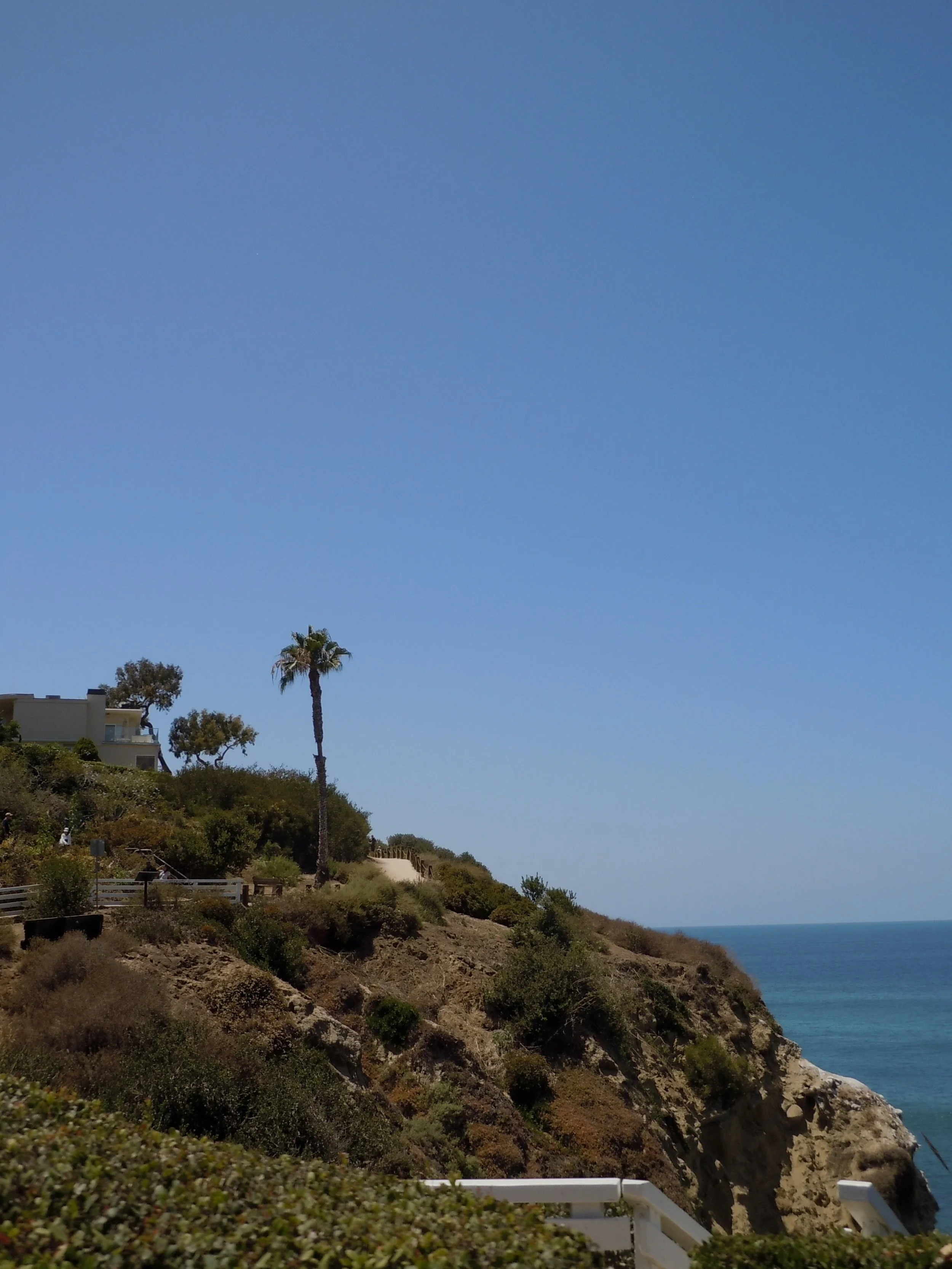 DSCN4304.jpg