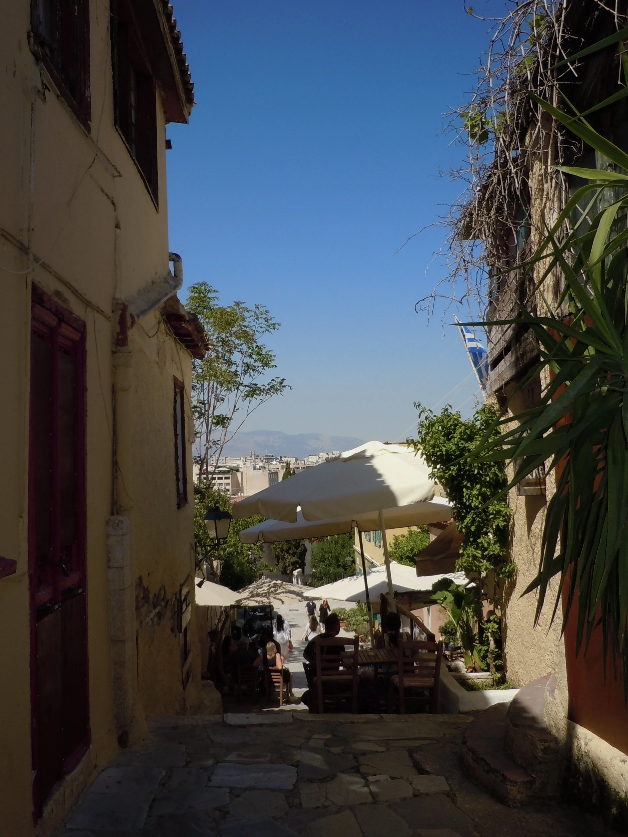 DSCN0479.jpg