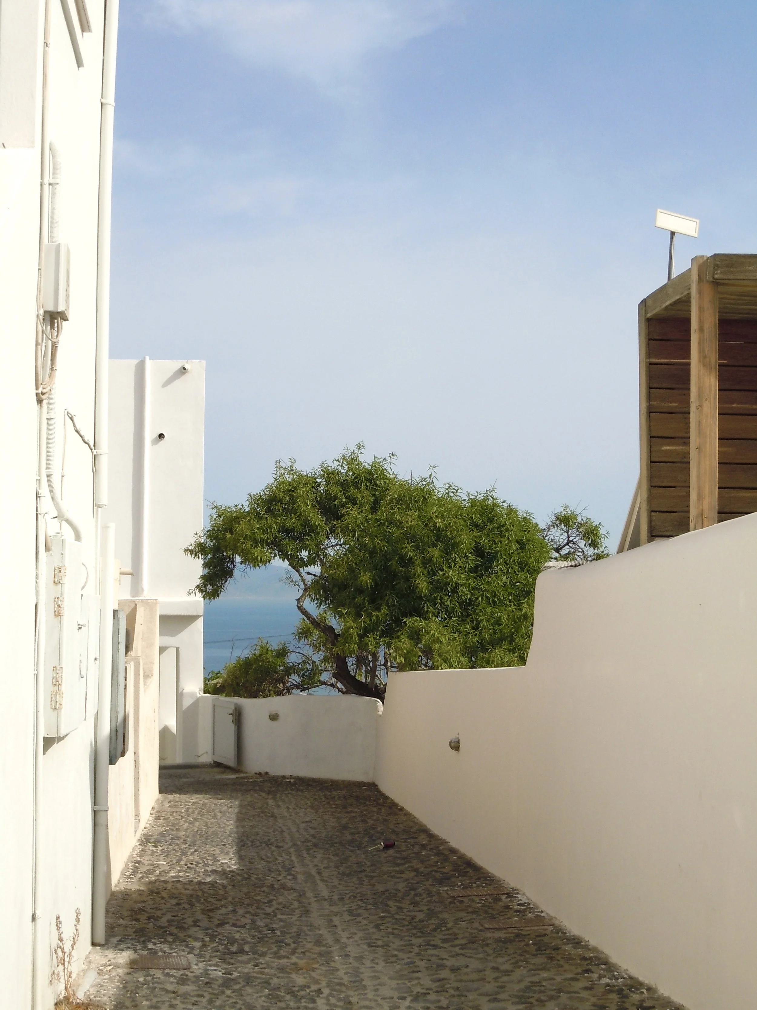 DSCN0511.jpg