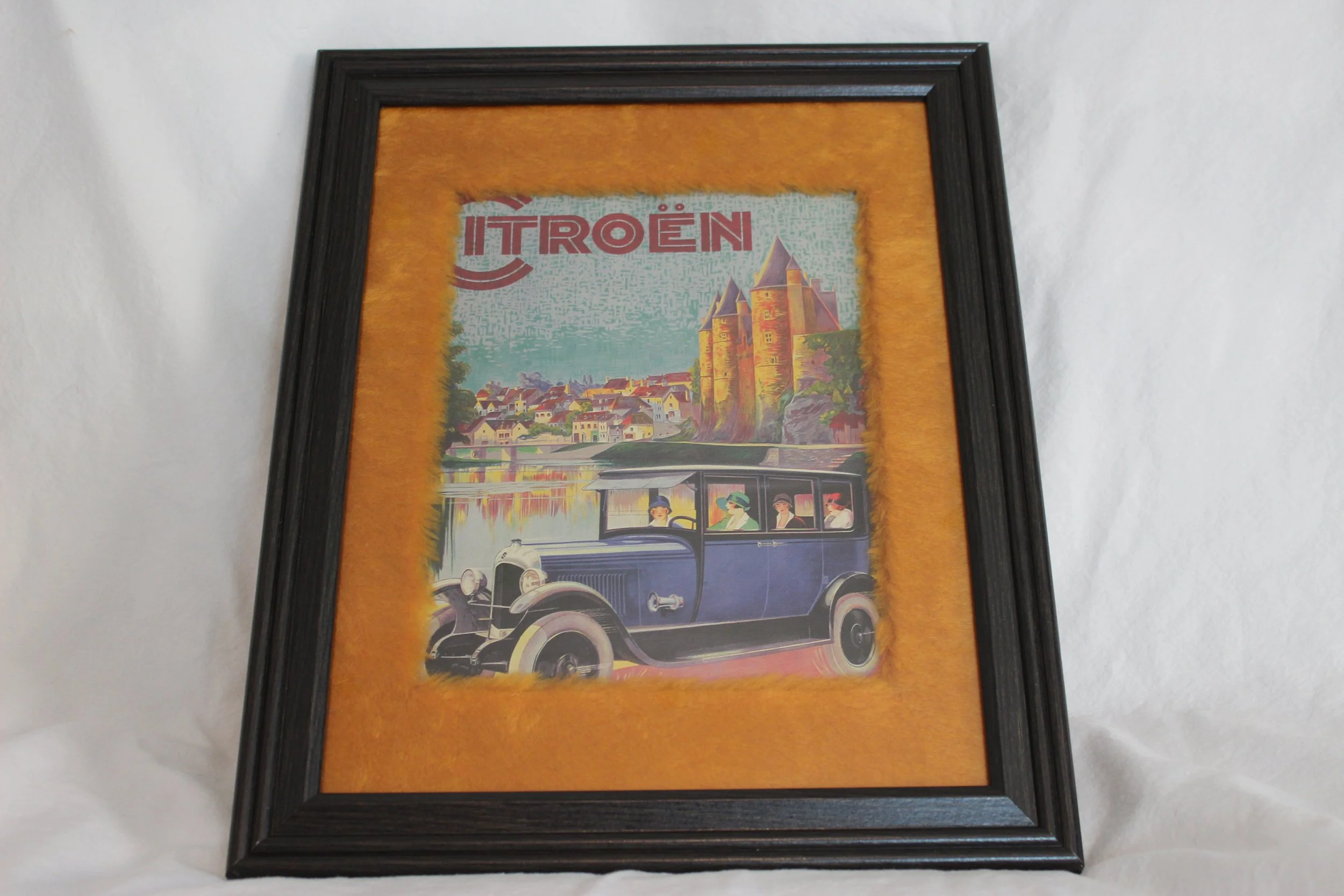 NG012 Citroën in Fur