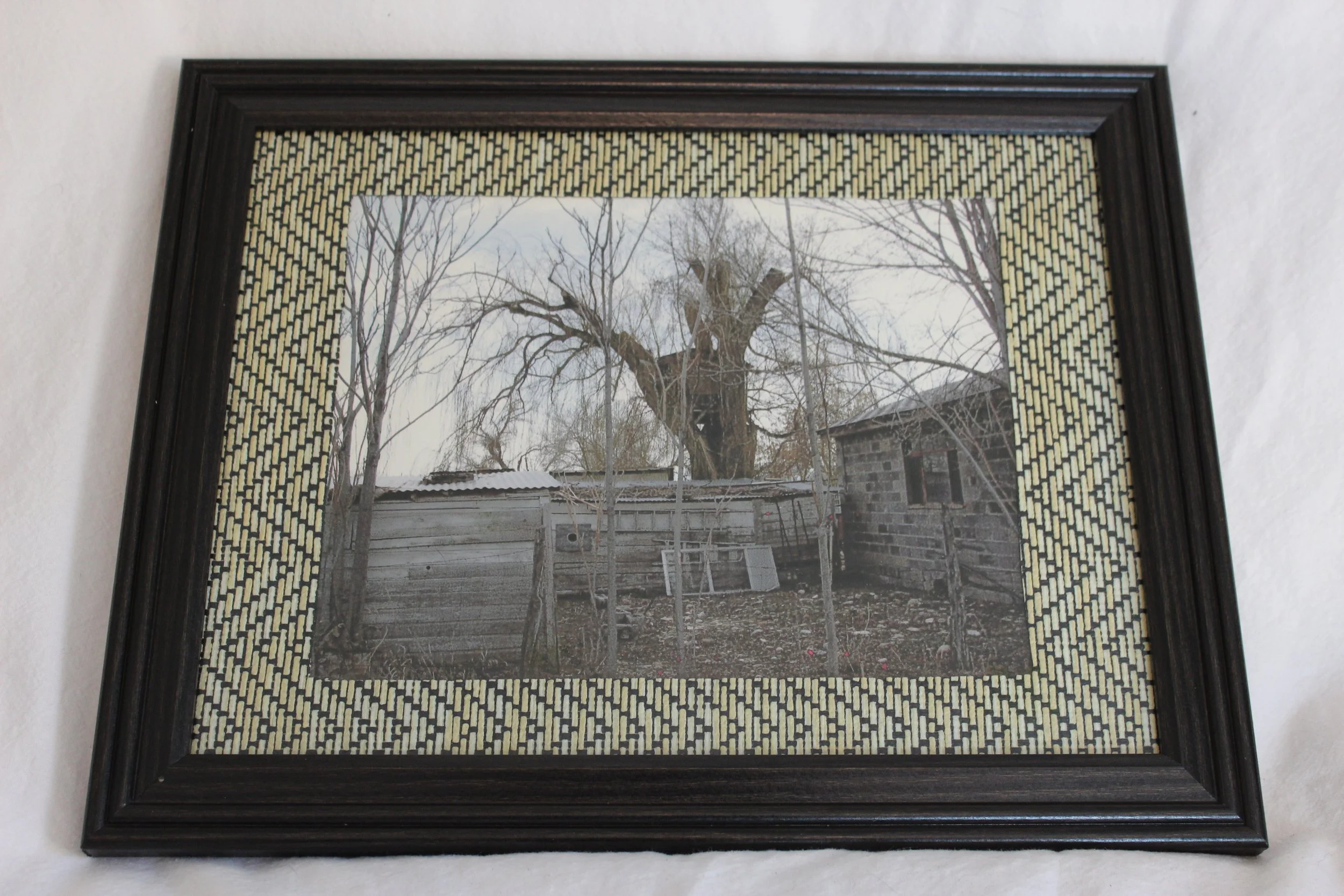SC010 Shed Tree