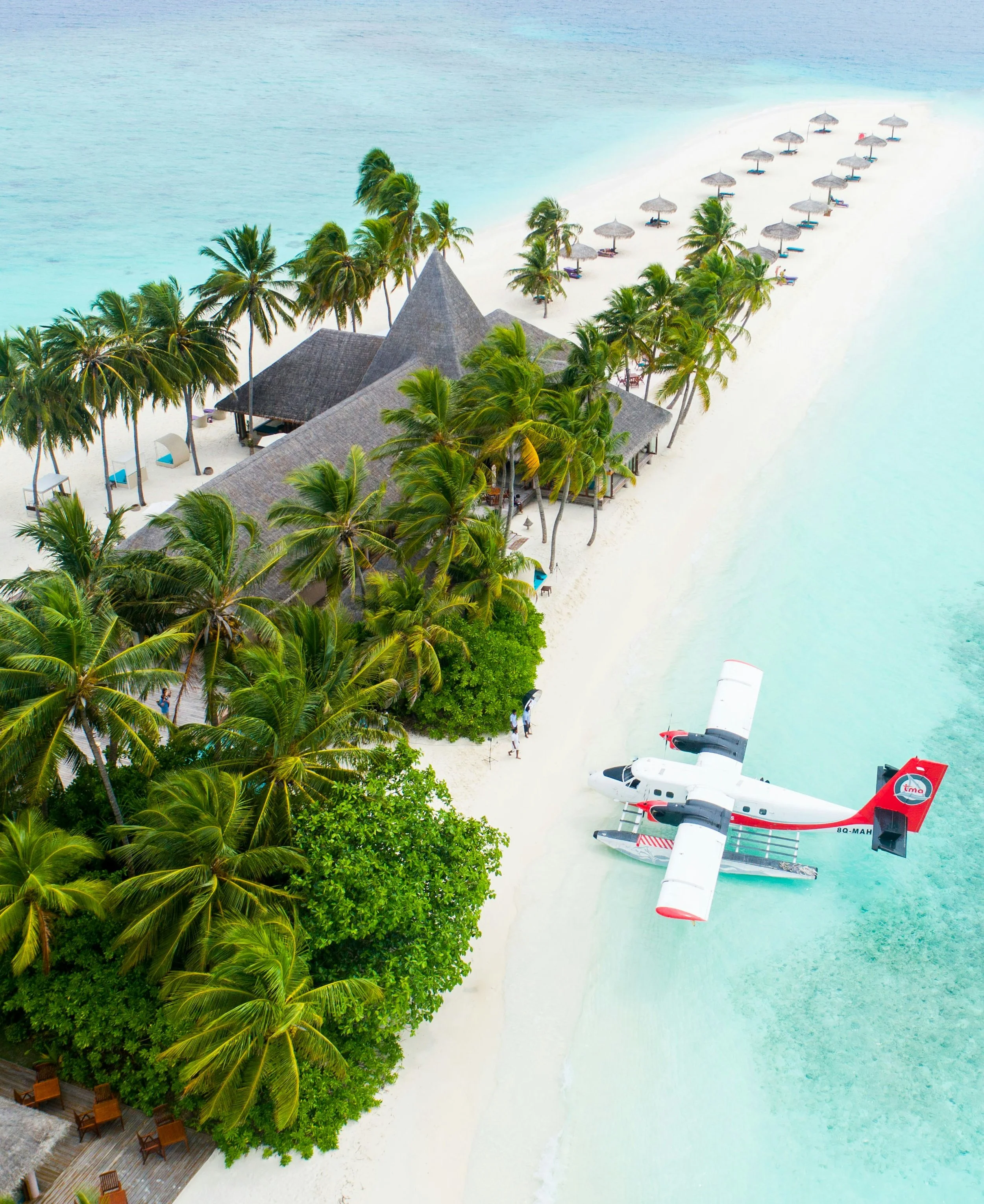 An aerial view of a tropical beach with palm trees, a thatched-roof building, lounge chairs under umbrellas, and a seaplane on the water.