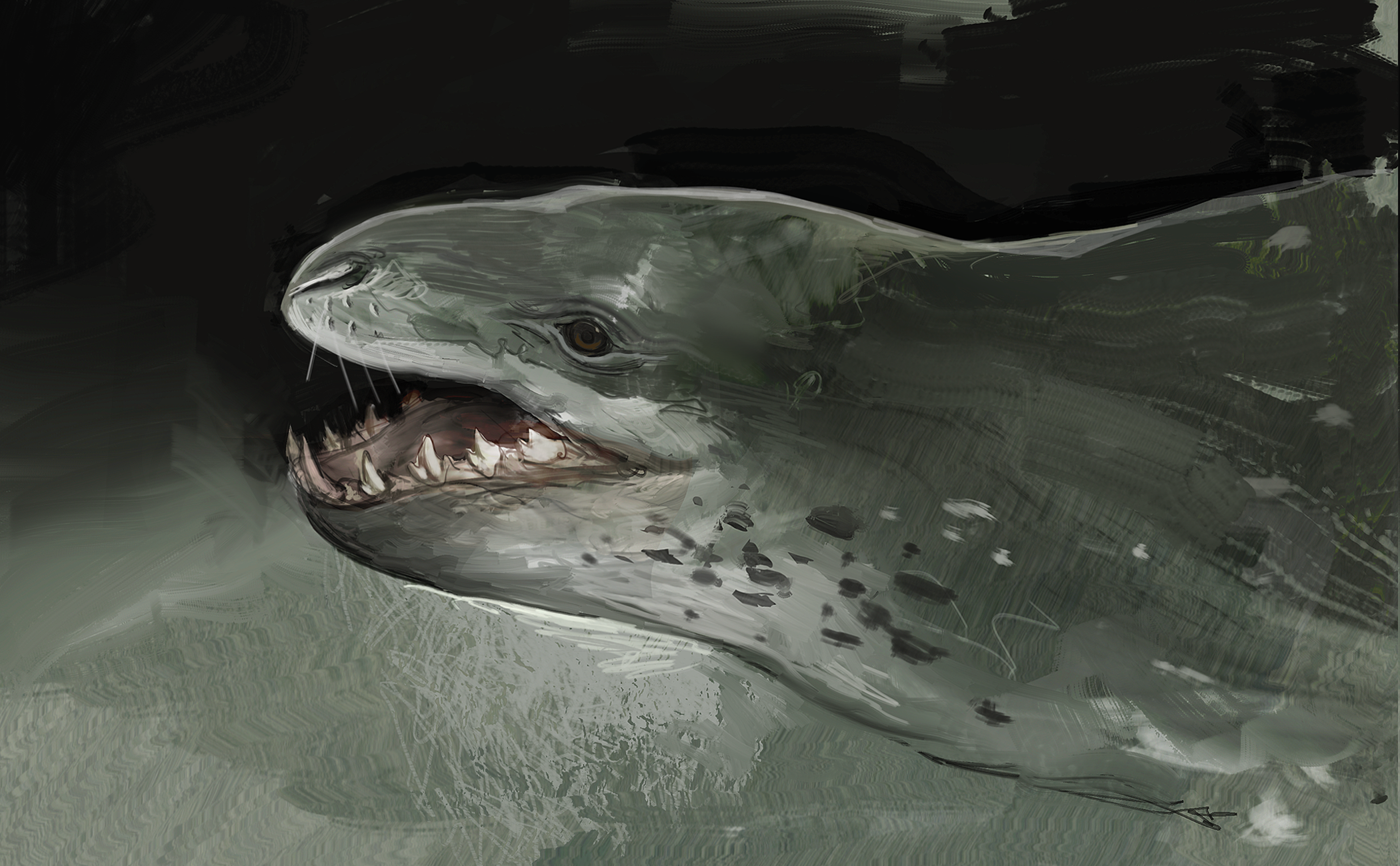 Leopard Seal Postcard Print