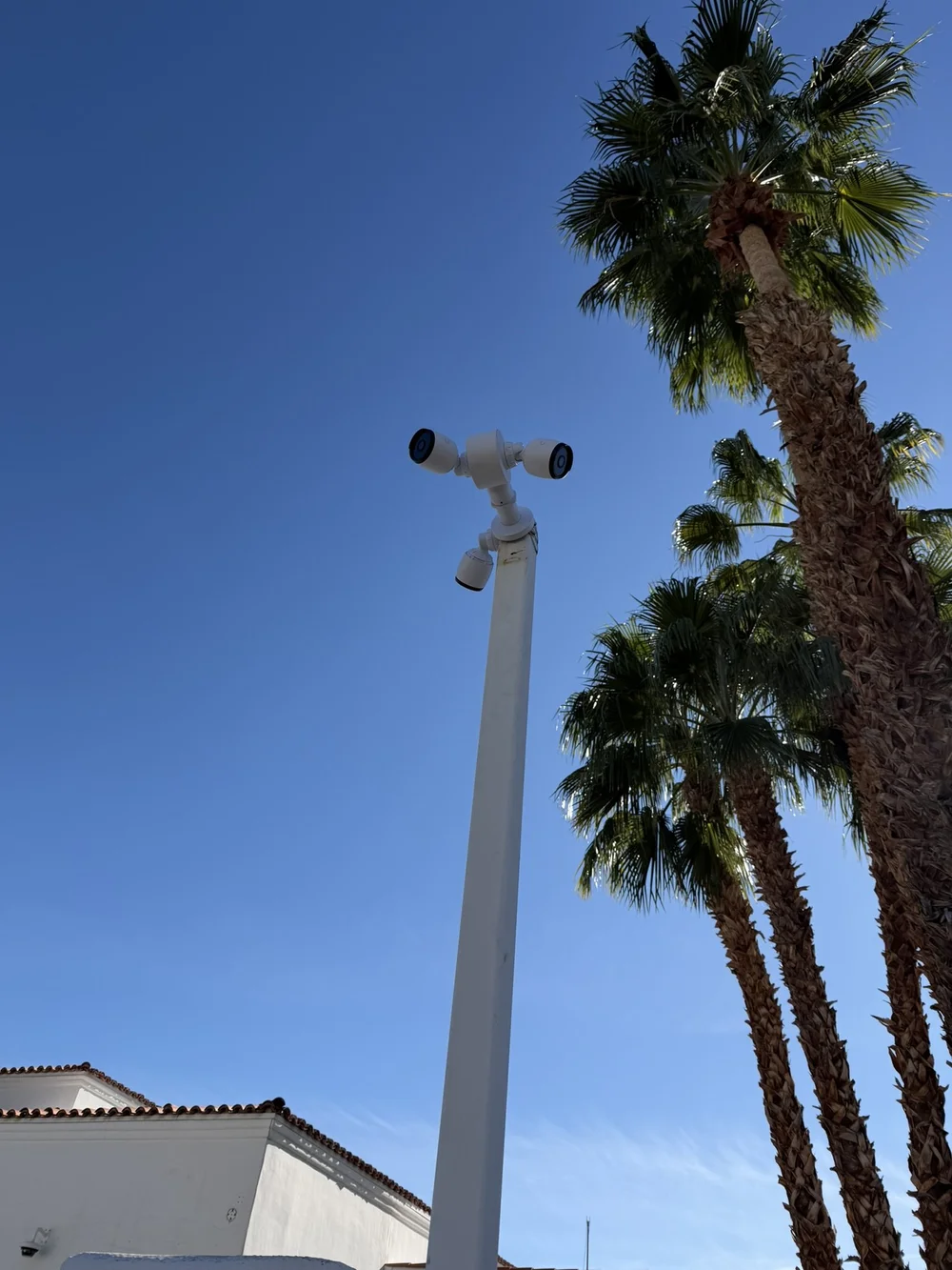 Three security cameras mounted on a white pole beside resort palm trees.