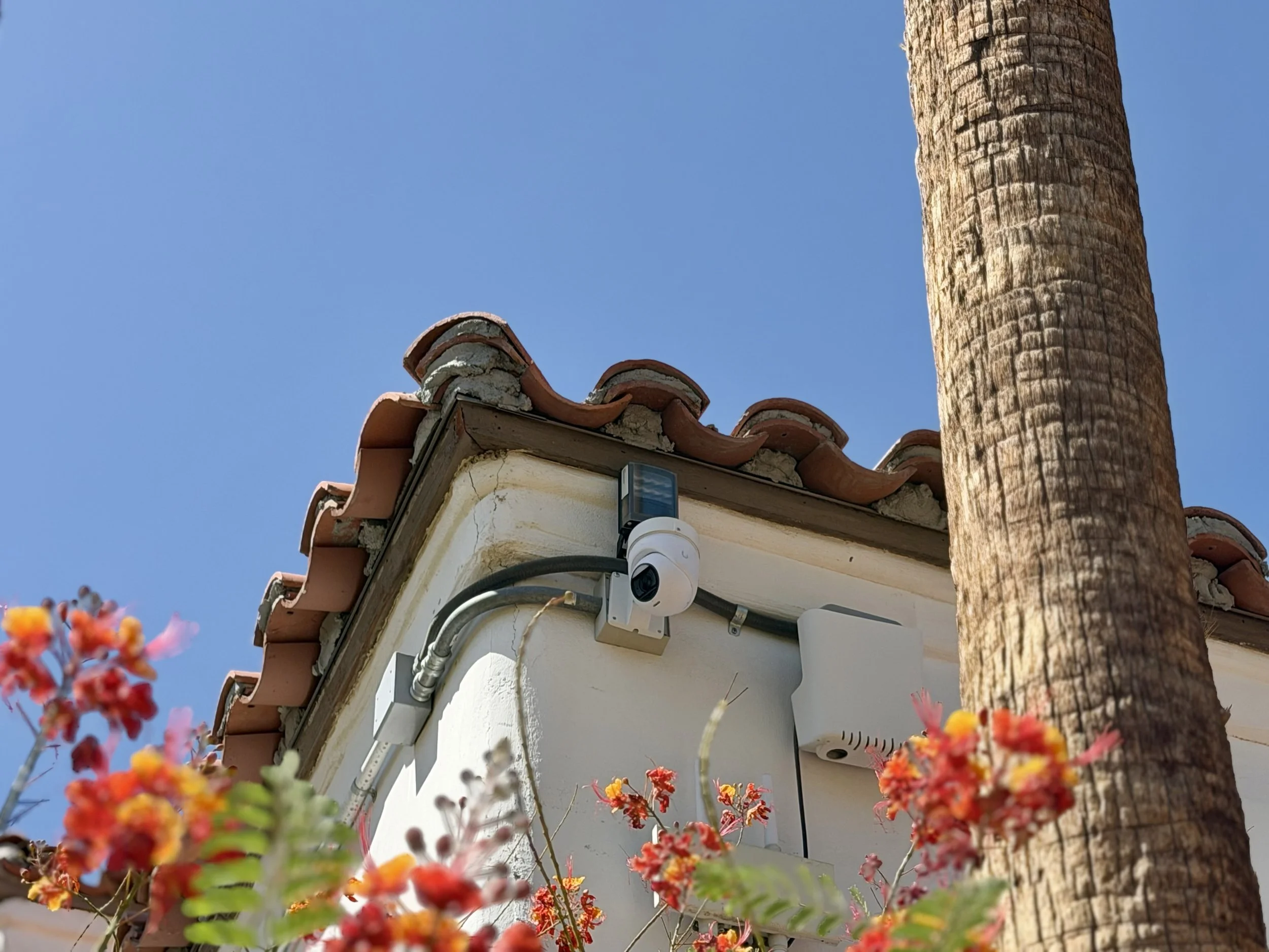Outdoor security camera mounted beneath a tile roof, framed by orange flowers and a palm tree.