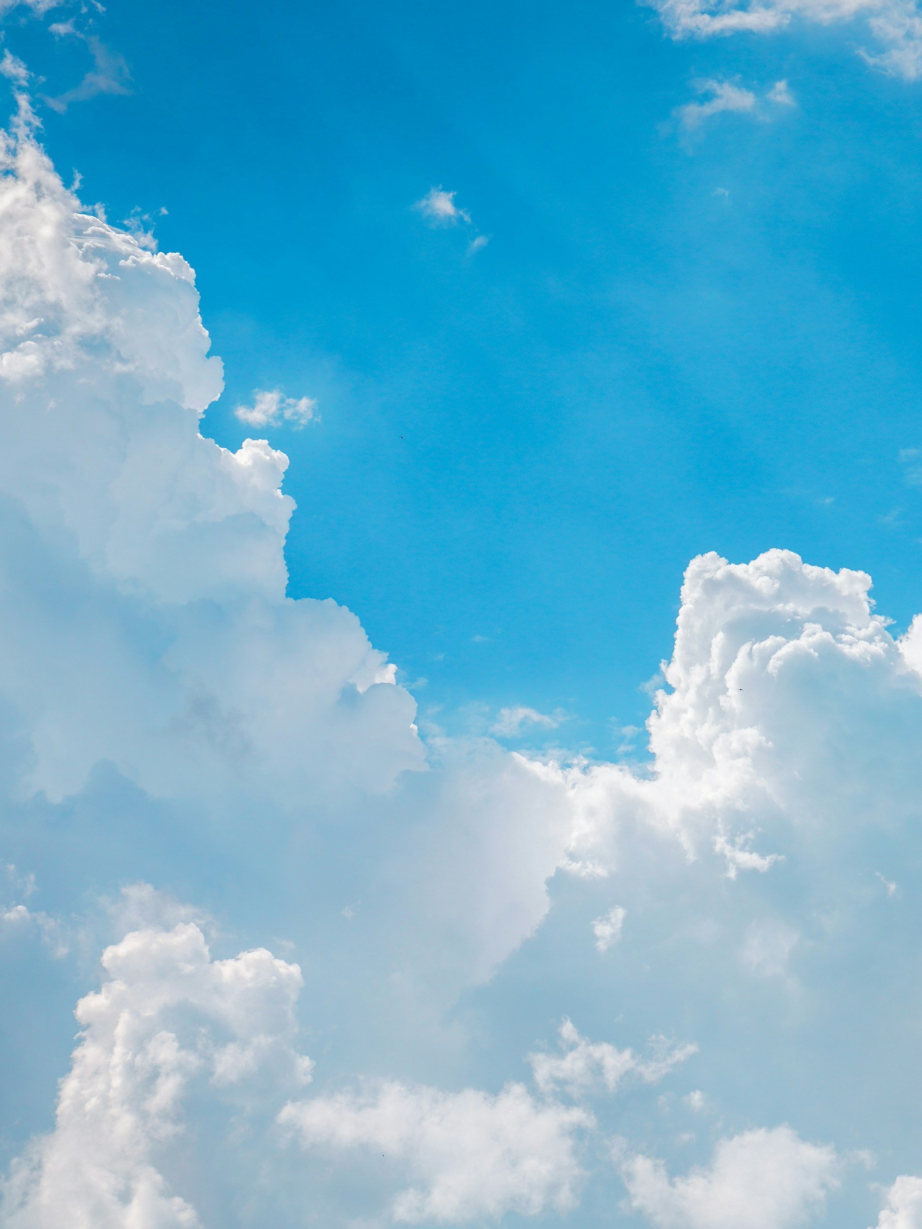 God’s Prophetic Program and Future Judgments