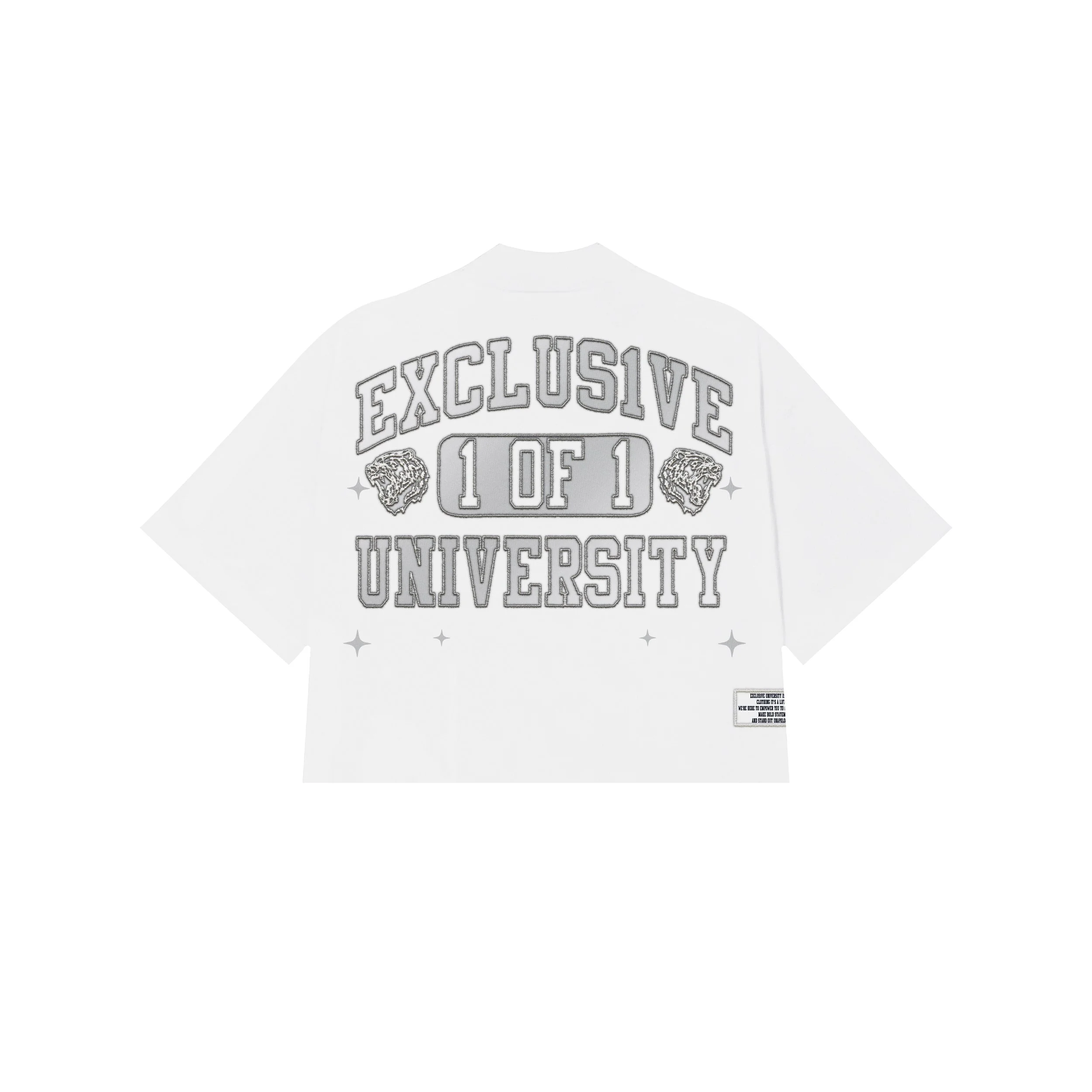 TSHIRT BACK 2.JPEG
