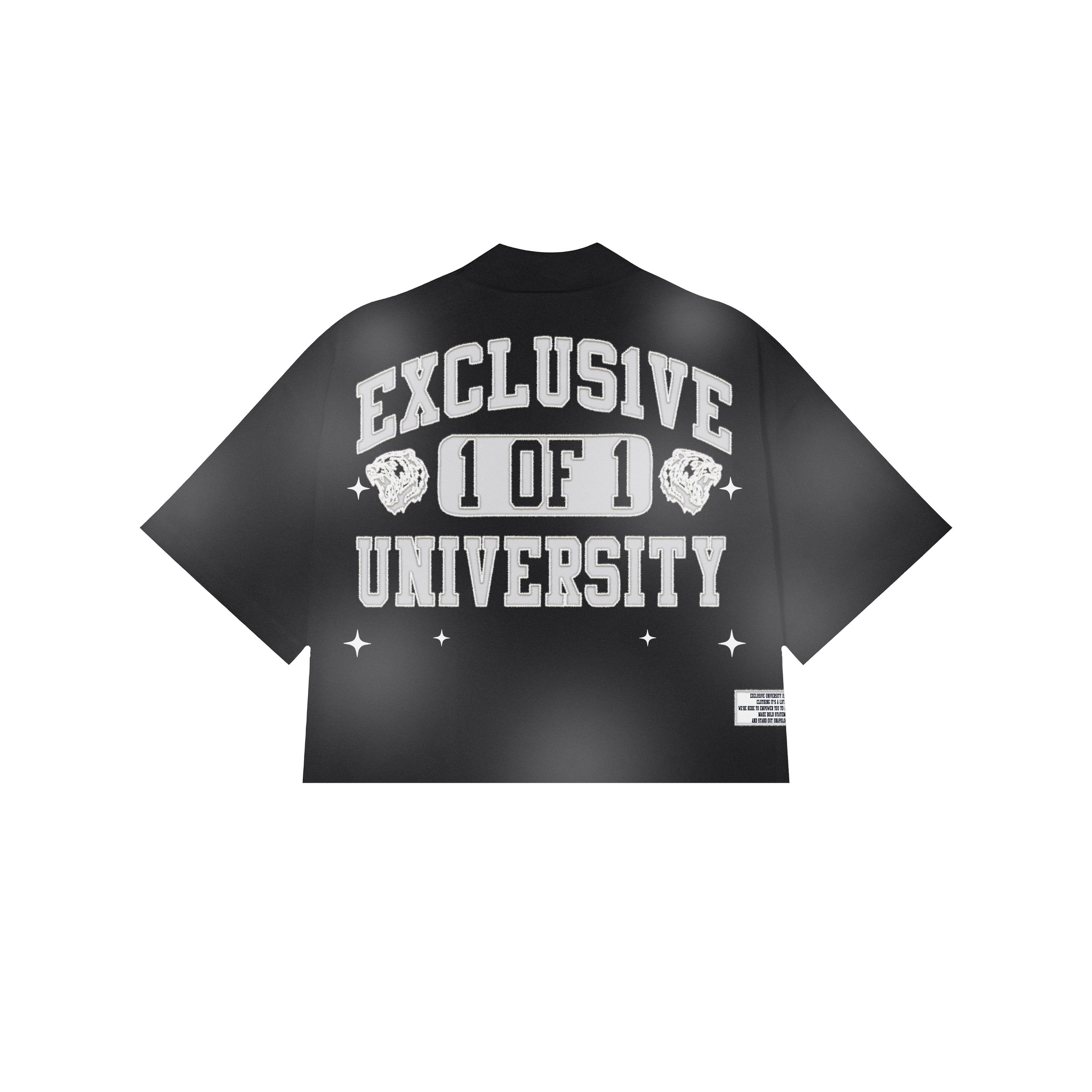 TSHIRT BACK 3.JPEG