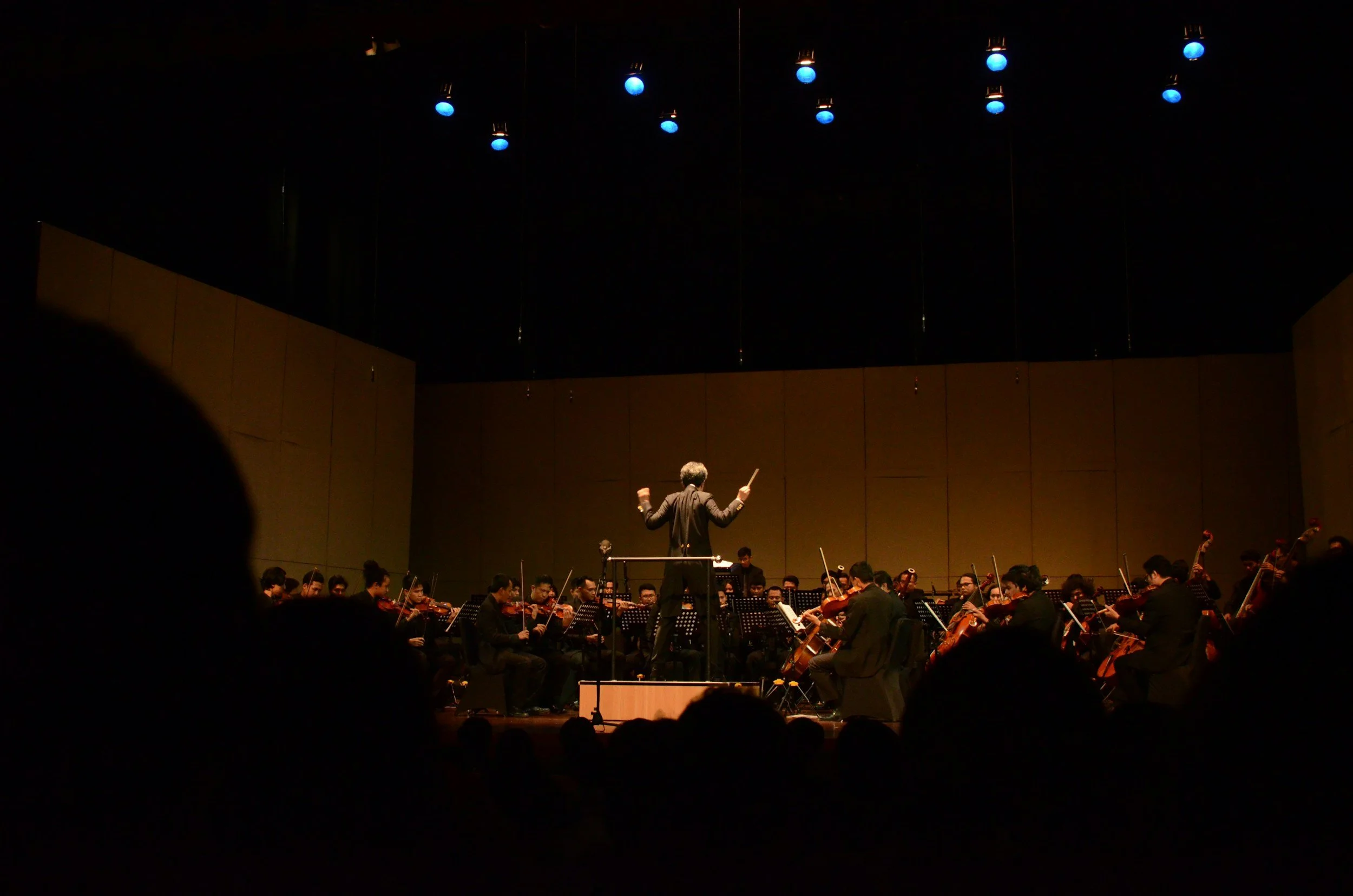 PARMA SYMPHONY ORCHESTRA: Fall Concert