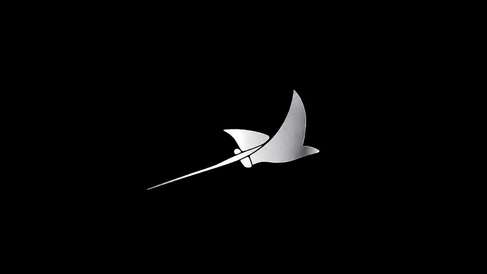 A silver butterfly with a long, thin tail on a black background.