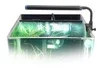 Reno_On_Tank_4f6a22f0-81db-4293-9f59-a13dbedee725_small.webp