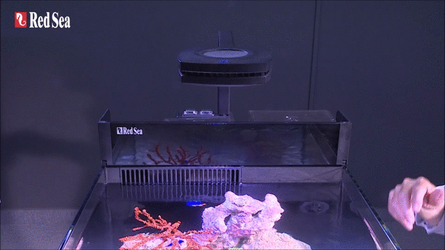 nano-light-swivel.gif