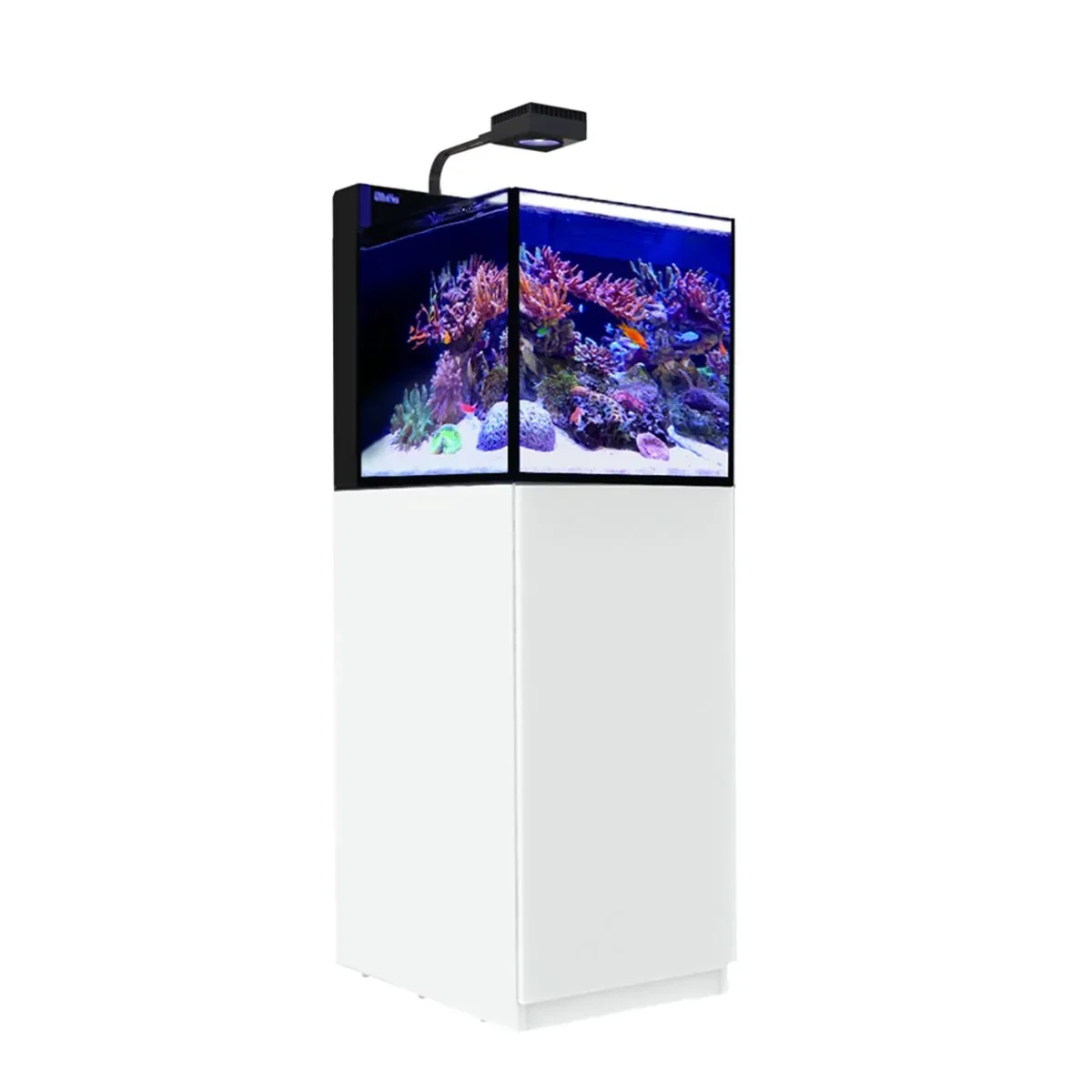 _0002_max_nano_peninsula_white_full_1.webp