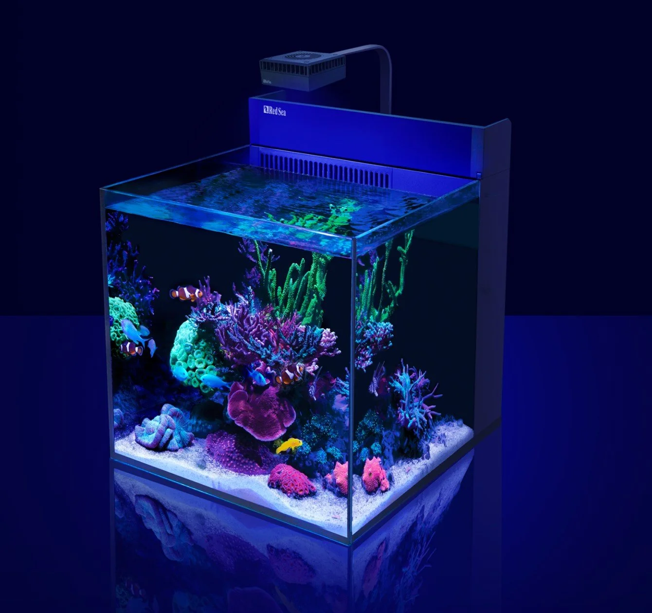 max-nano-g2-xlv2.jpg