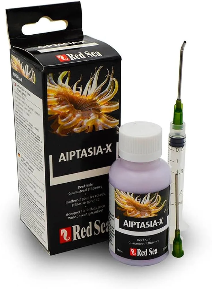 Red Sea Aiptasia-X