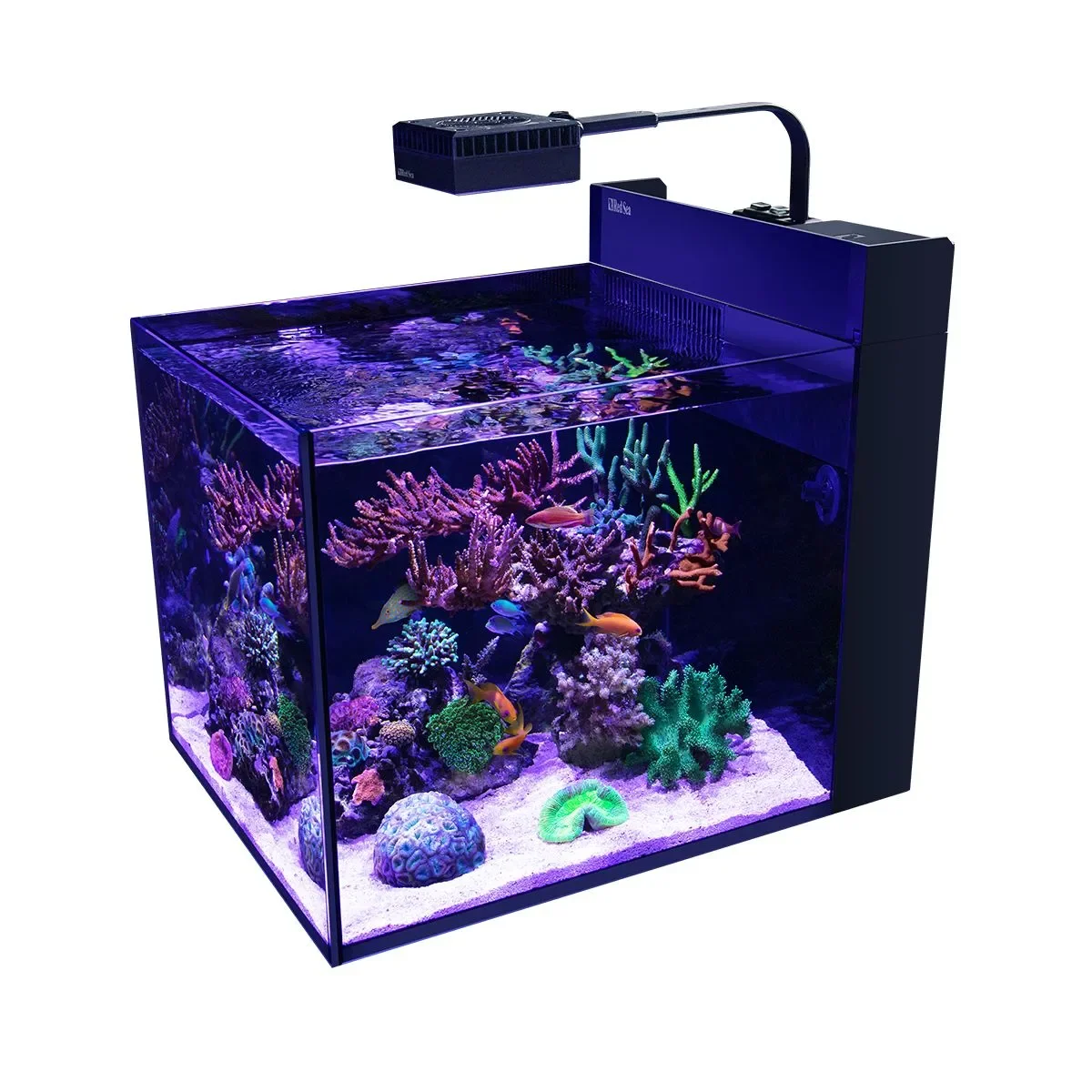 Red Sea MAX NANO G2 Peninsula Complete Reef System