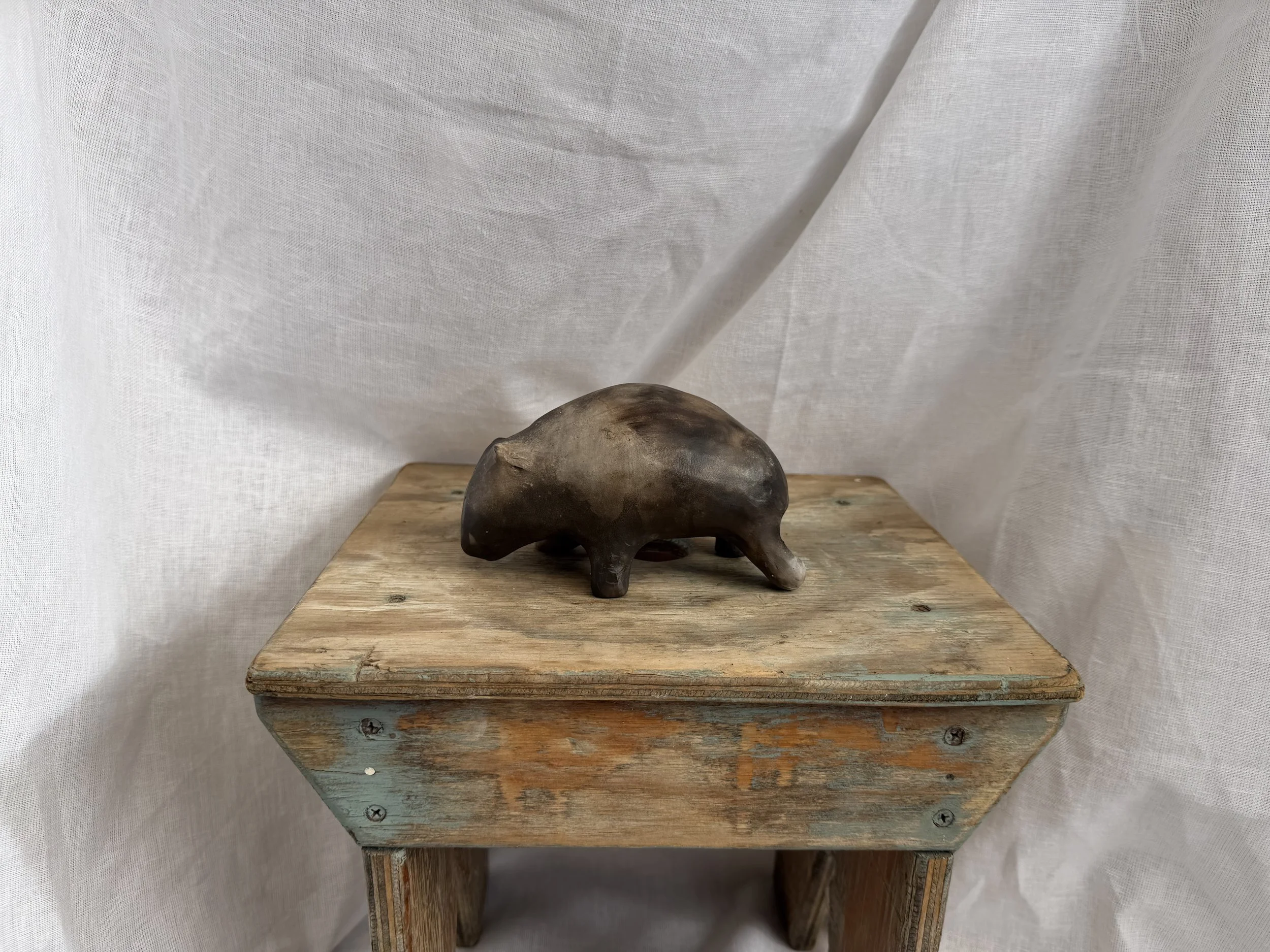 Large Wombat