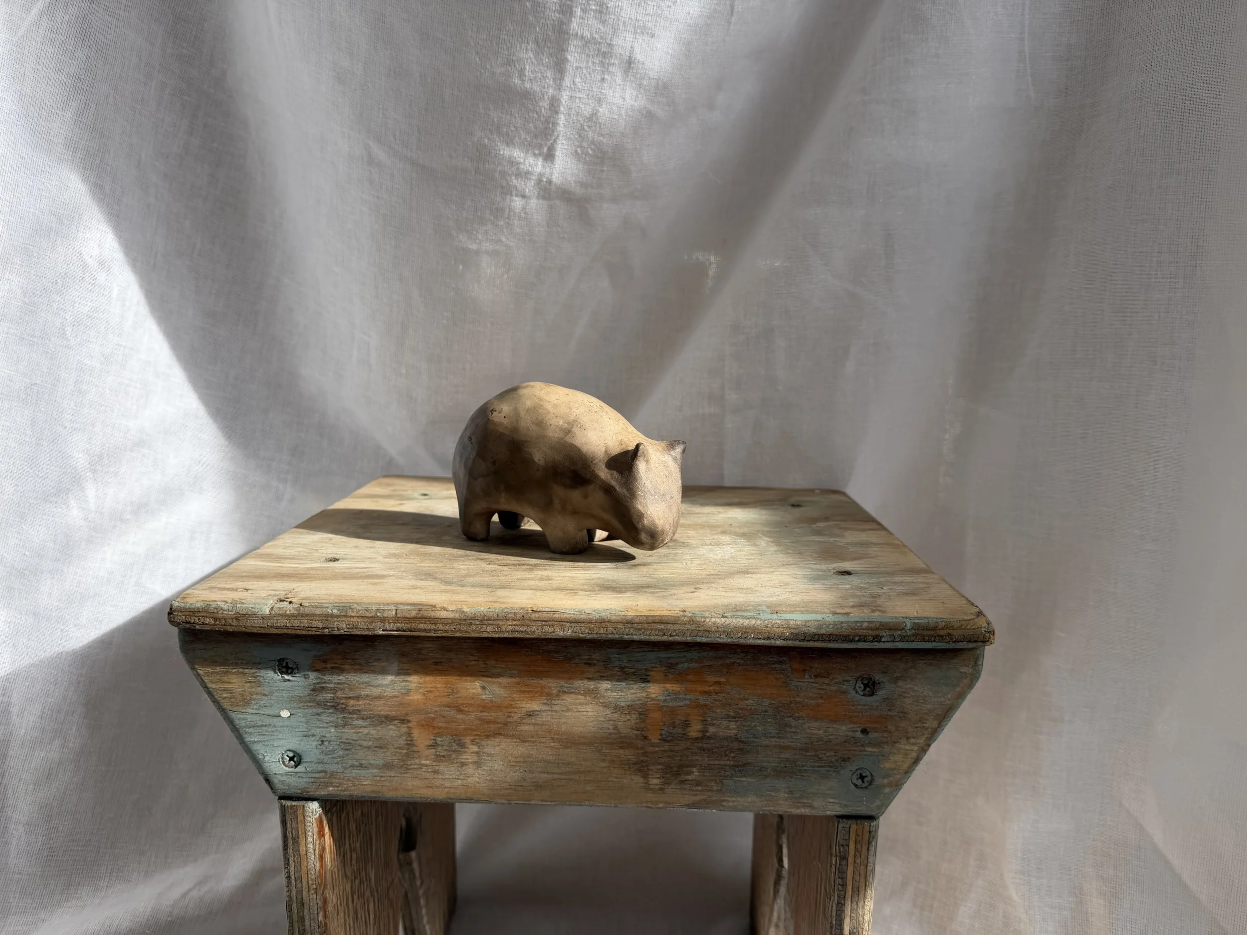 Medium Wombat