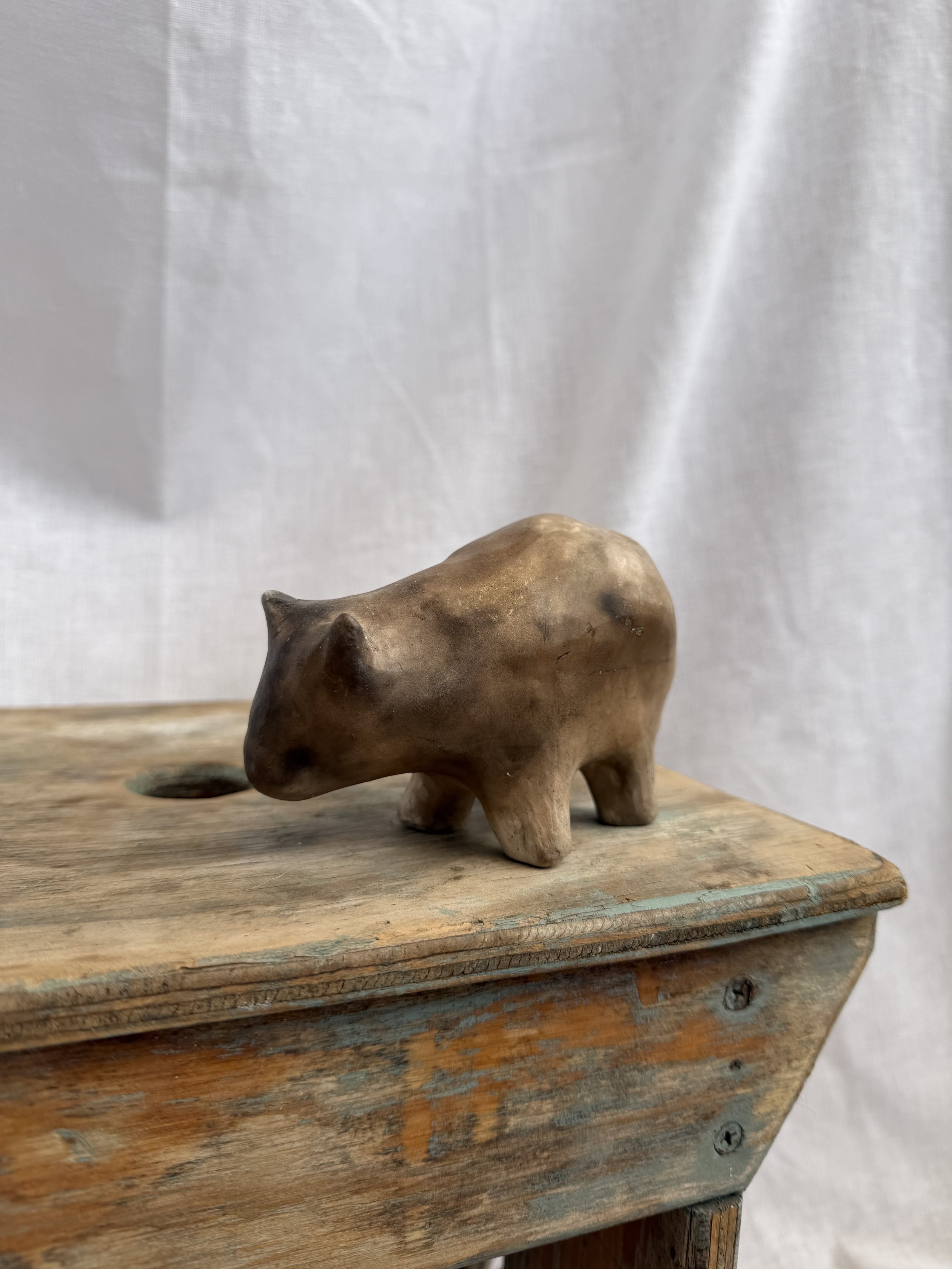 Small Wombat